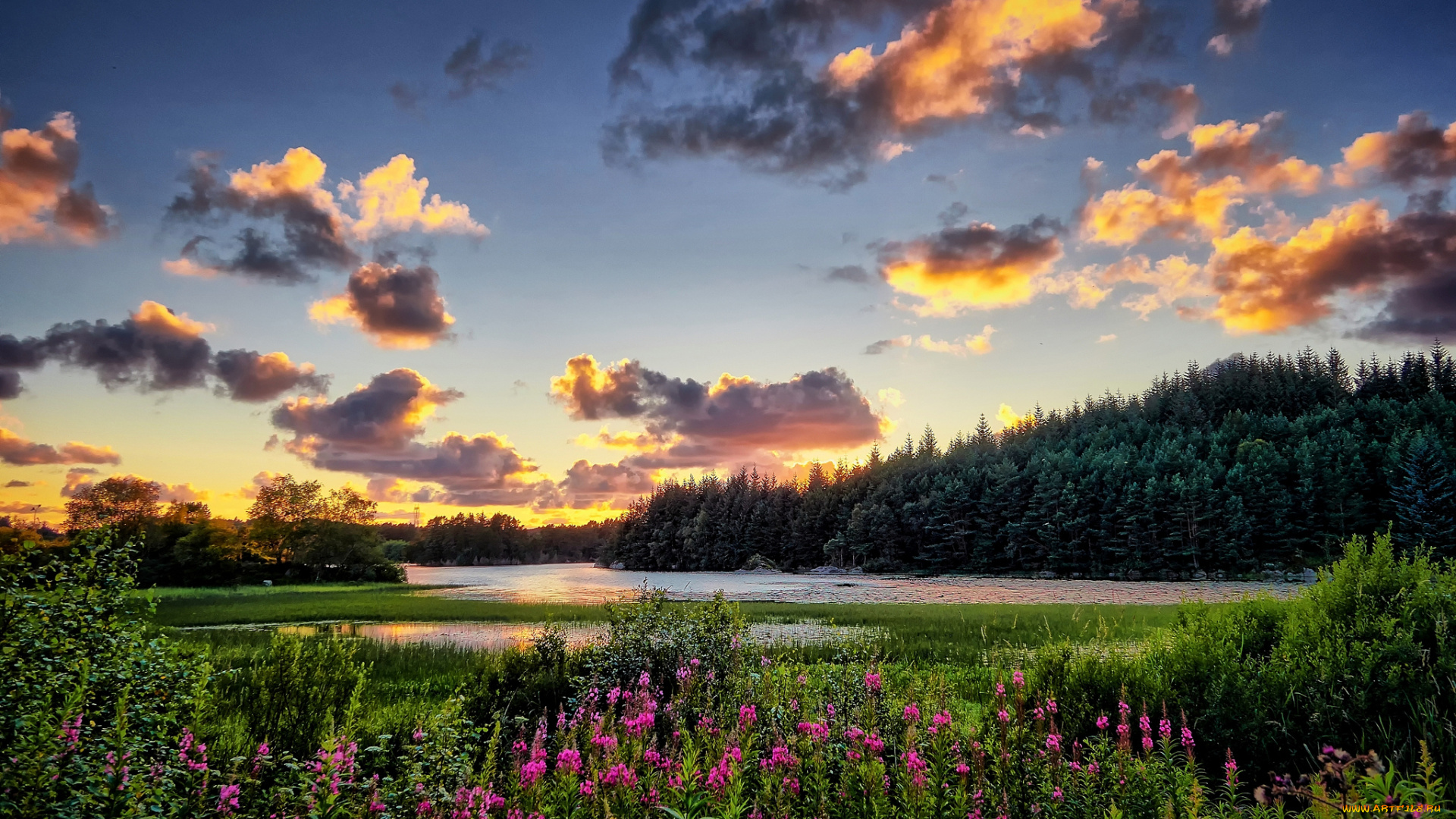 природа, реки, озера, река, лес