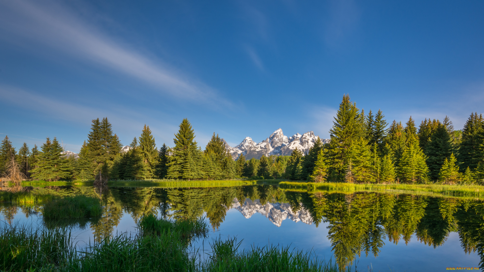 природа, реки, озера, река, лес