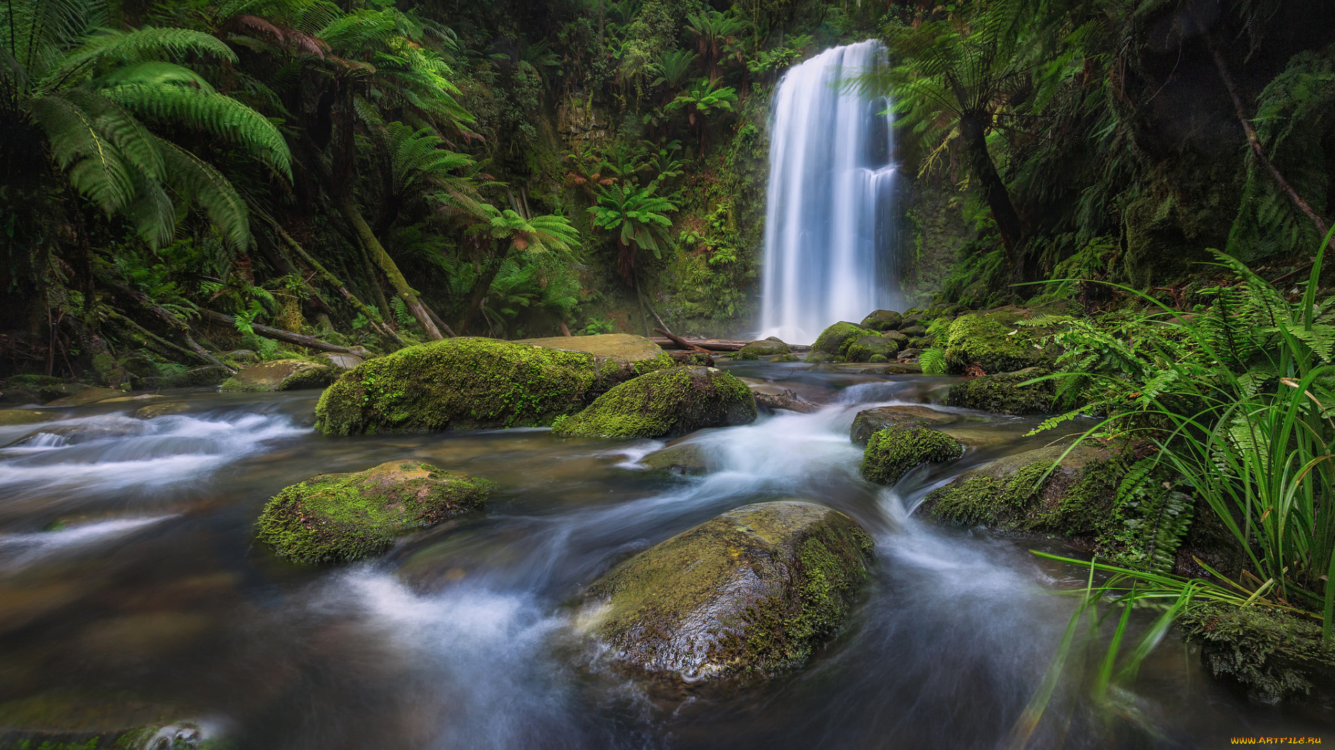 природа, водопады, поток, мох, камни, тропики, лес