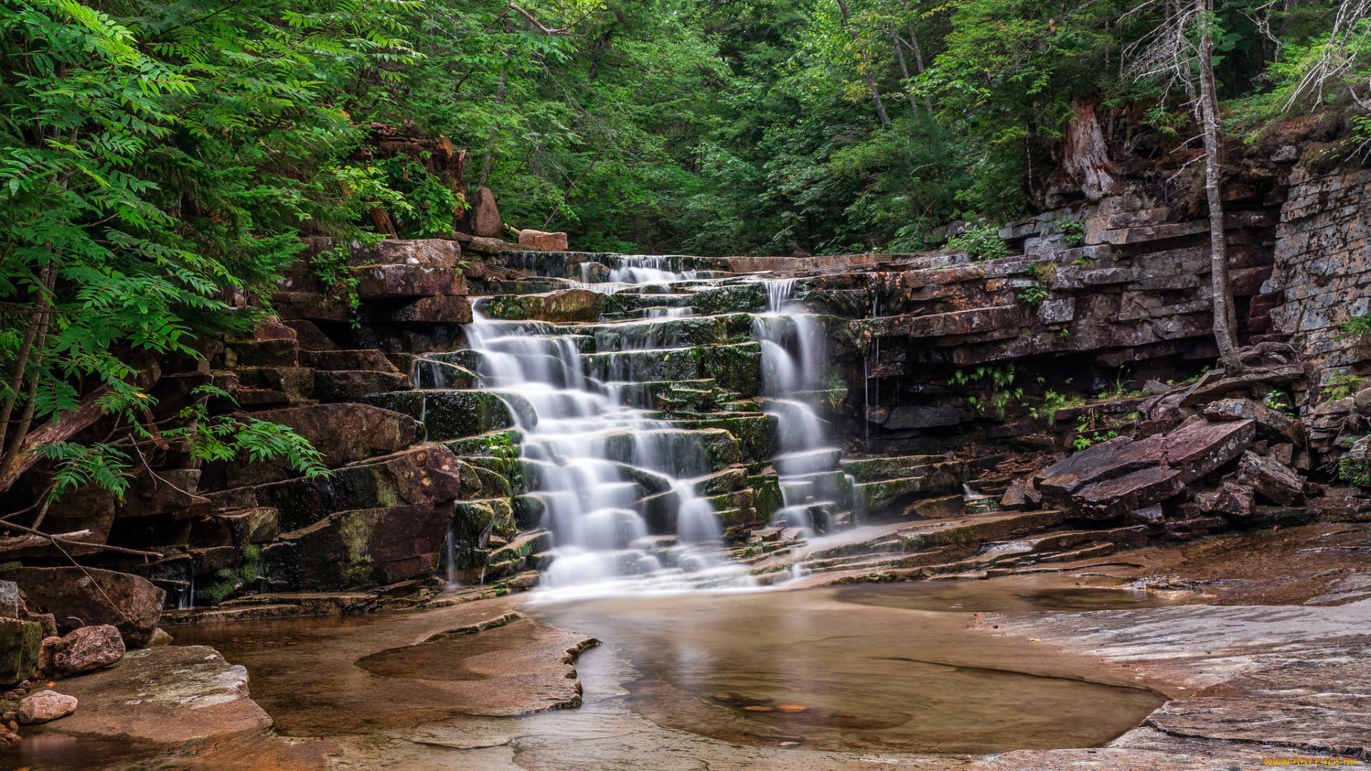 природа, водопады, водопад, река, лес