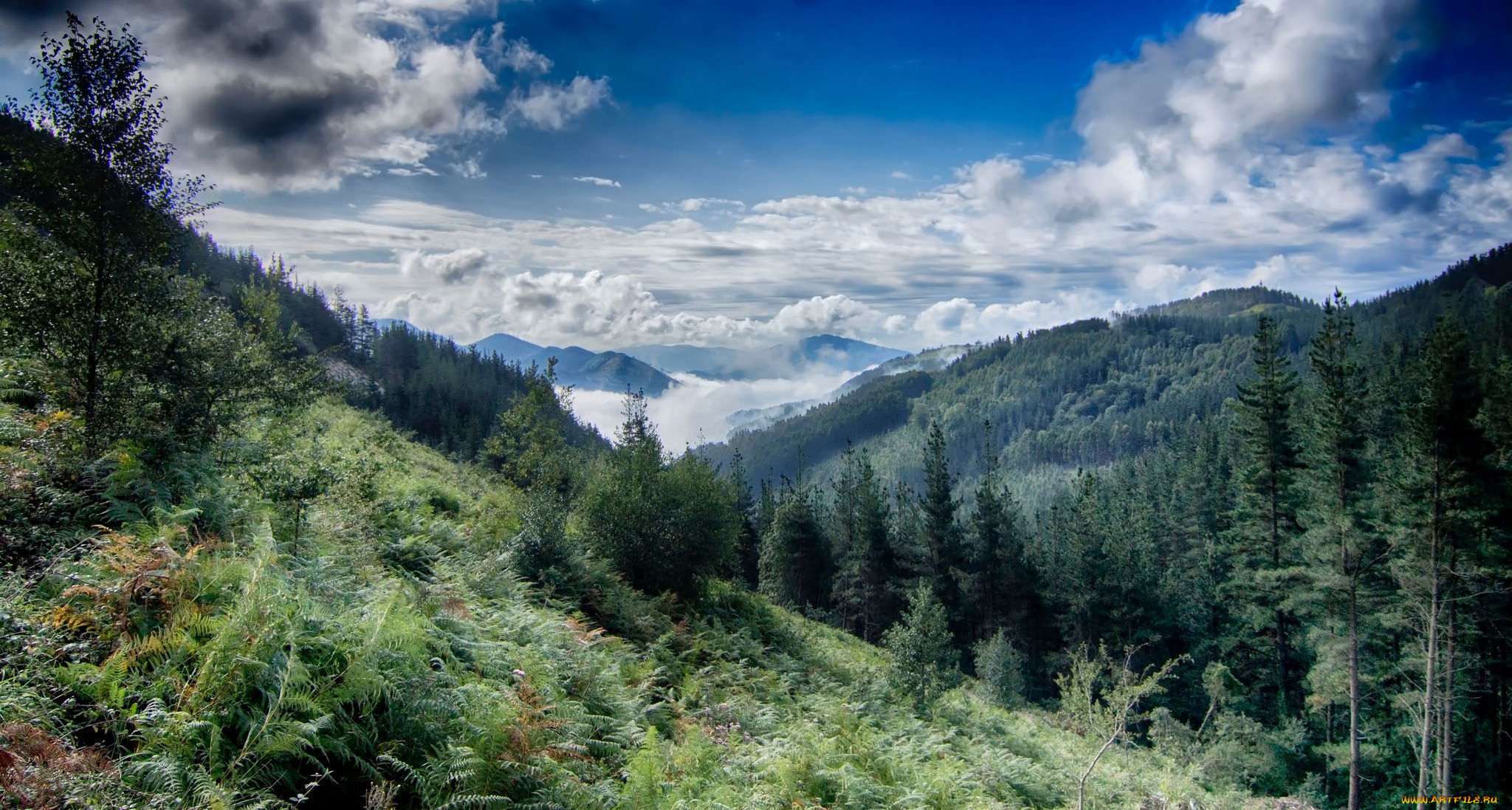 природа, горы, скалы