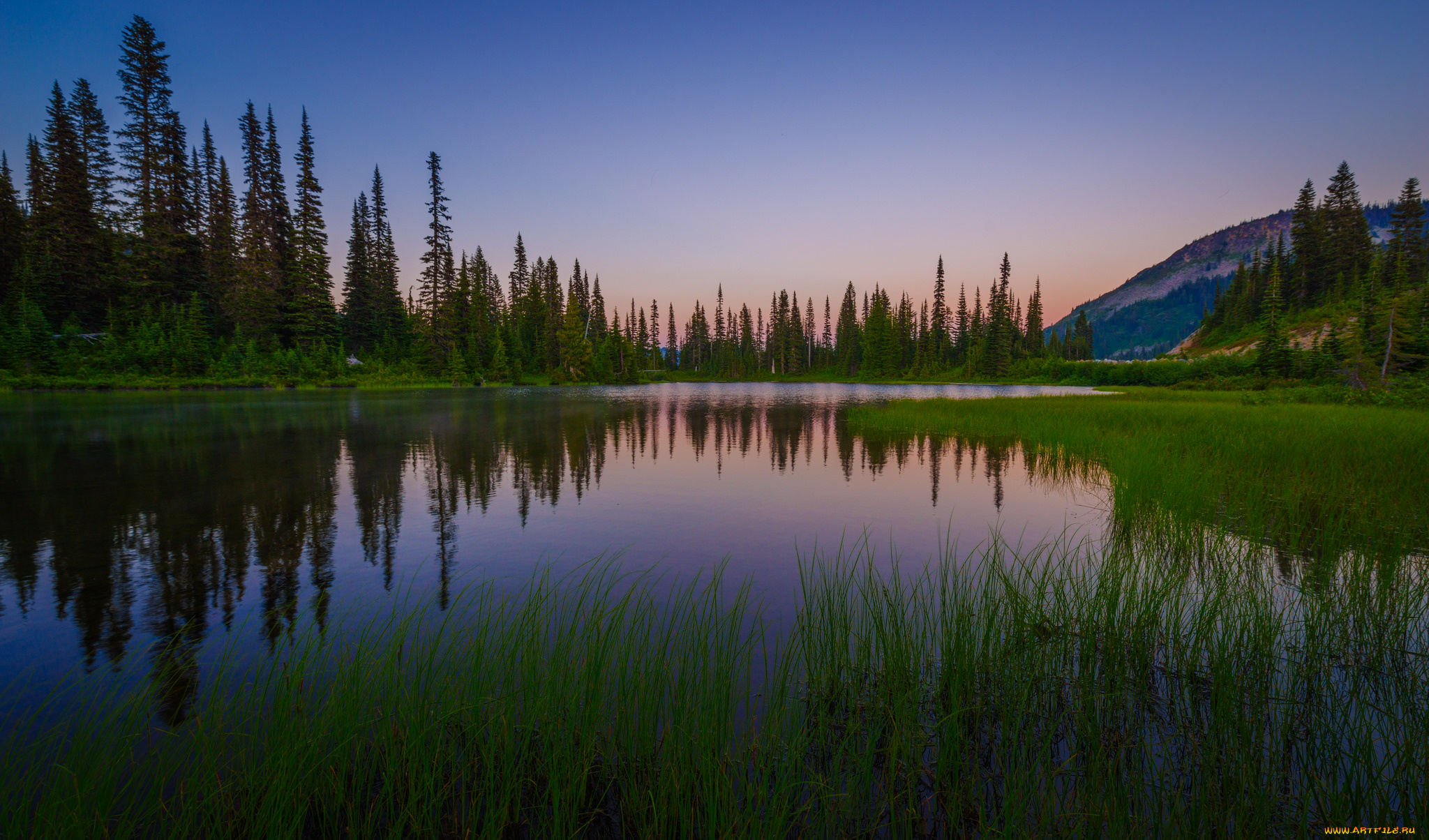 природа, реки, озера, река, лес