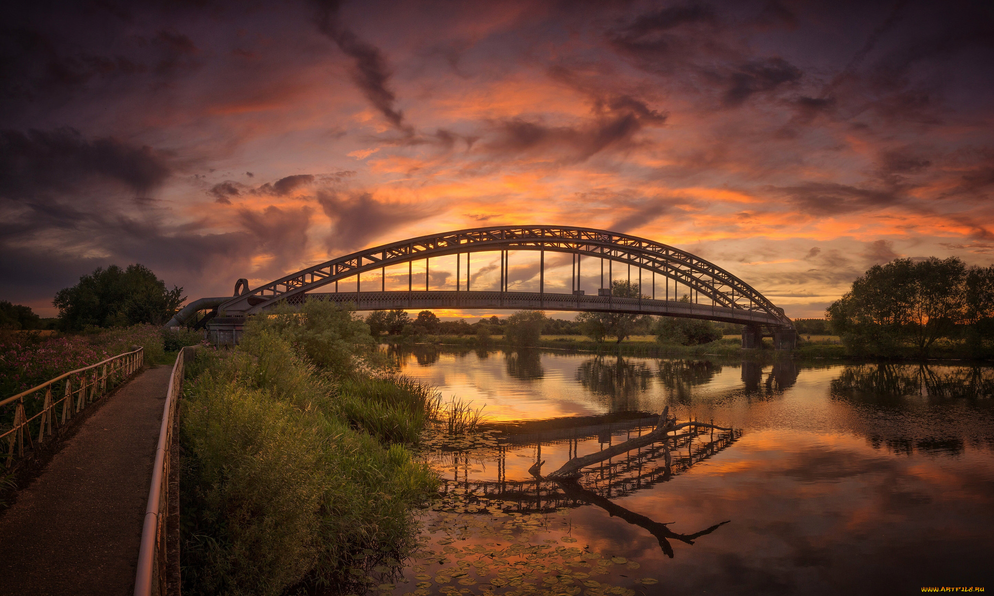 природа, реки, озера, река, лес