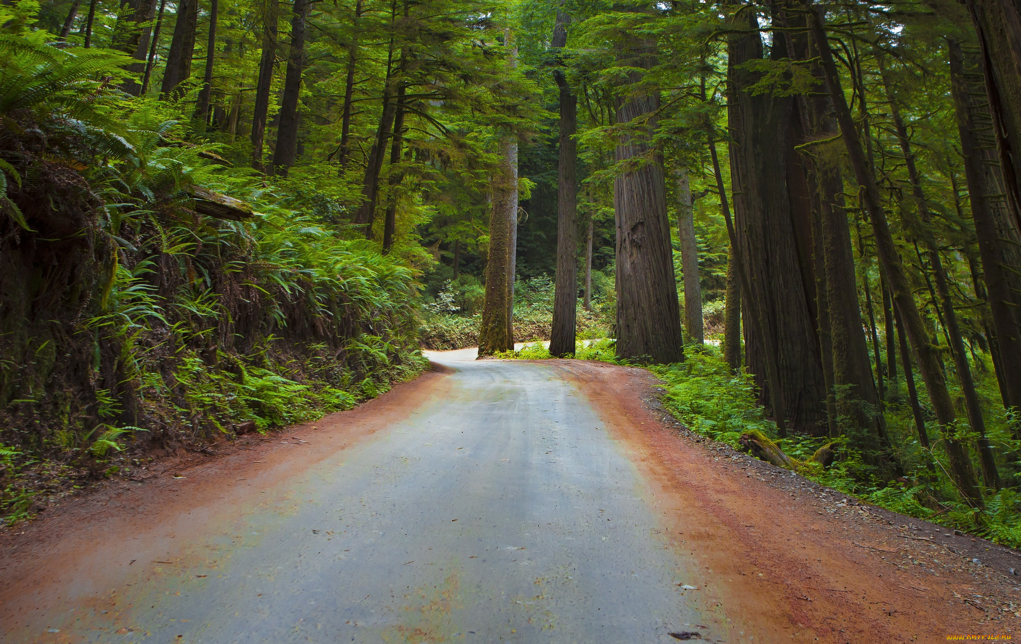 природа, дороги, тракт