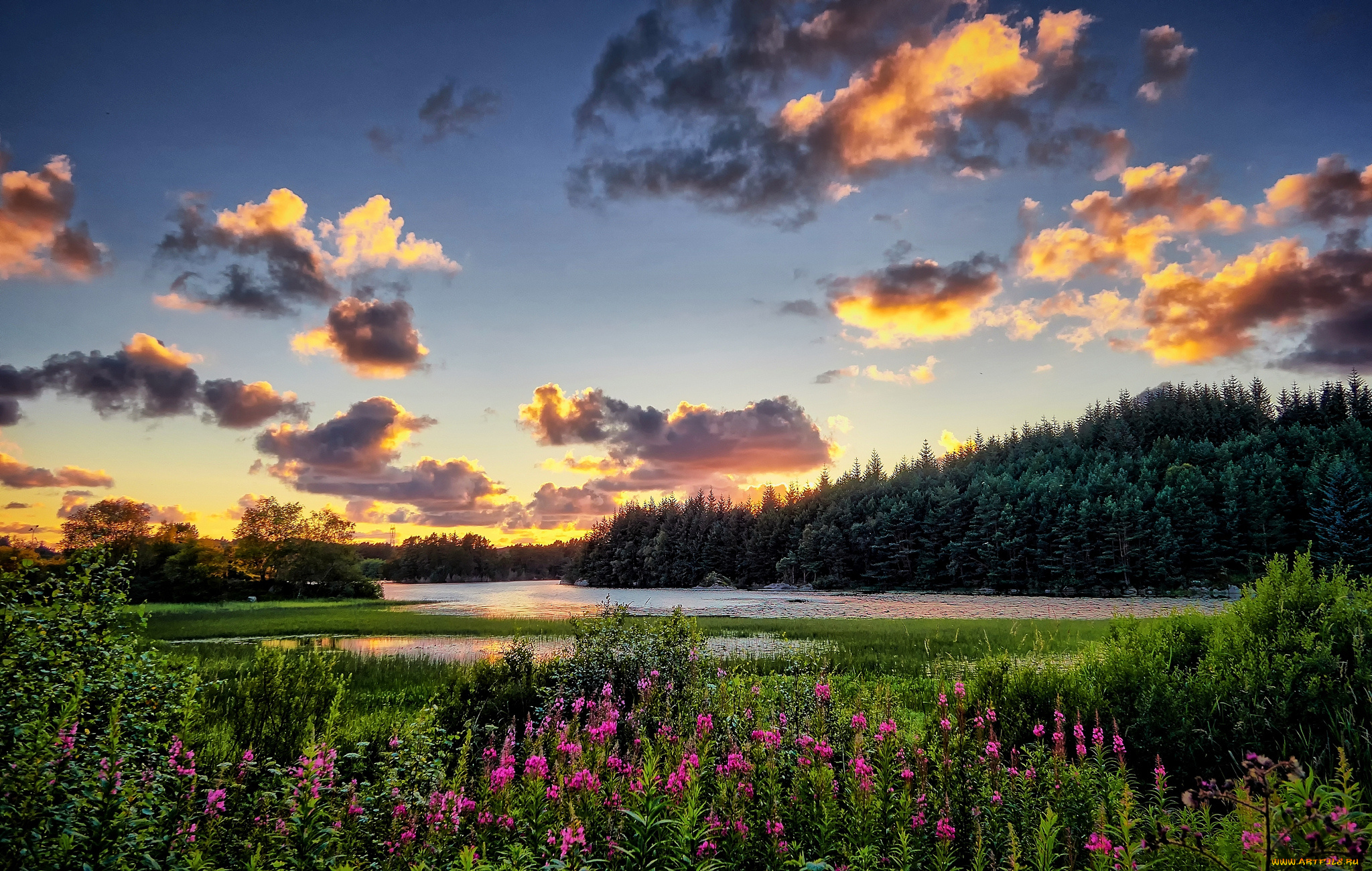 природа, реки, озера, река, лес