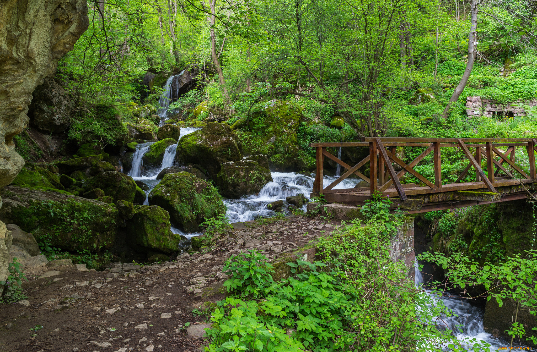 природа, реки, озера, лес, река