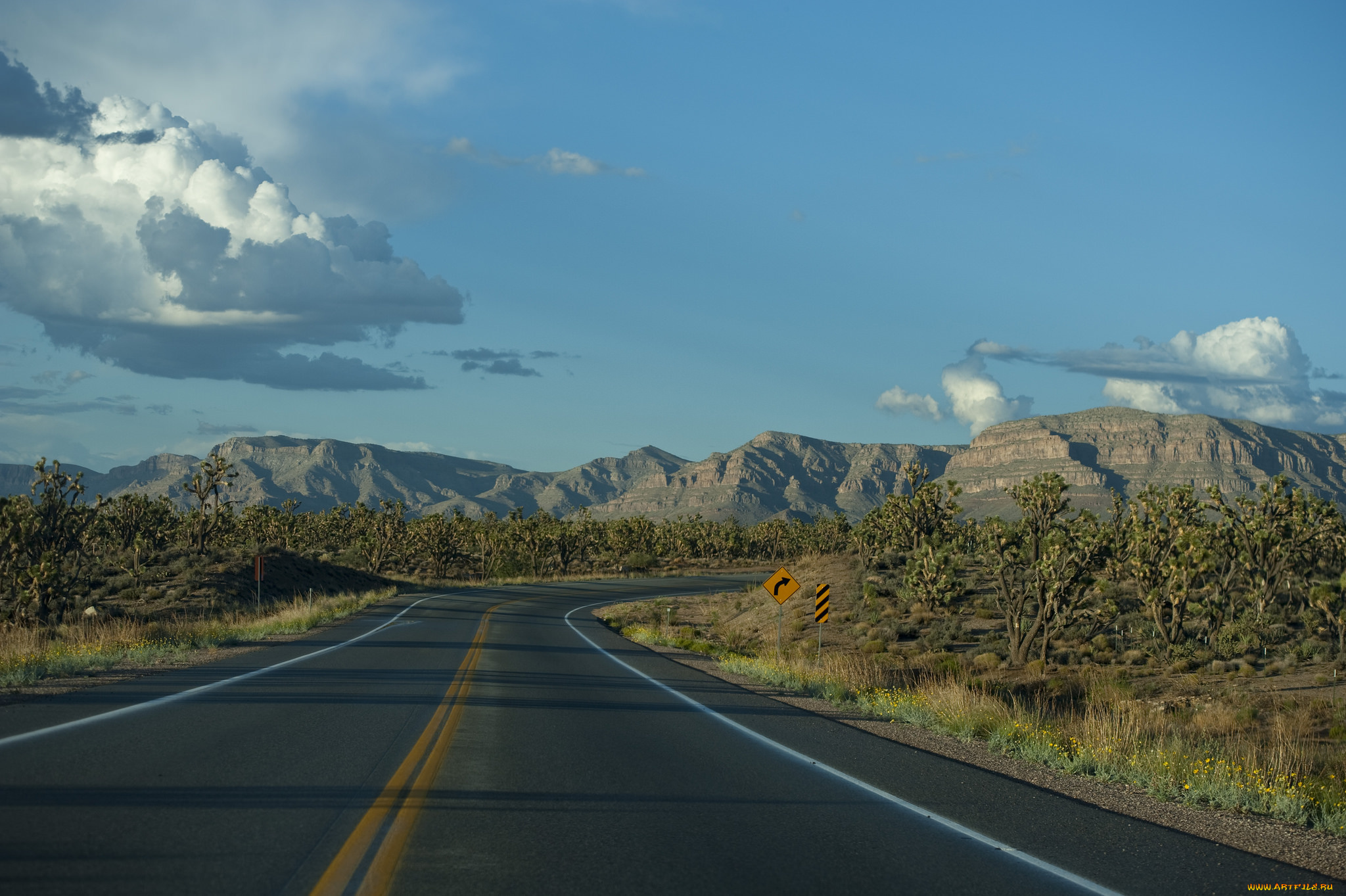 природа, дороги, тракт