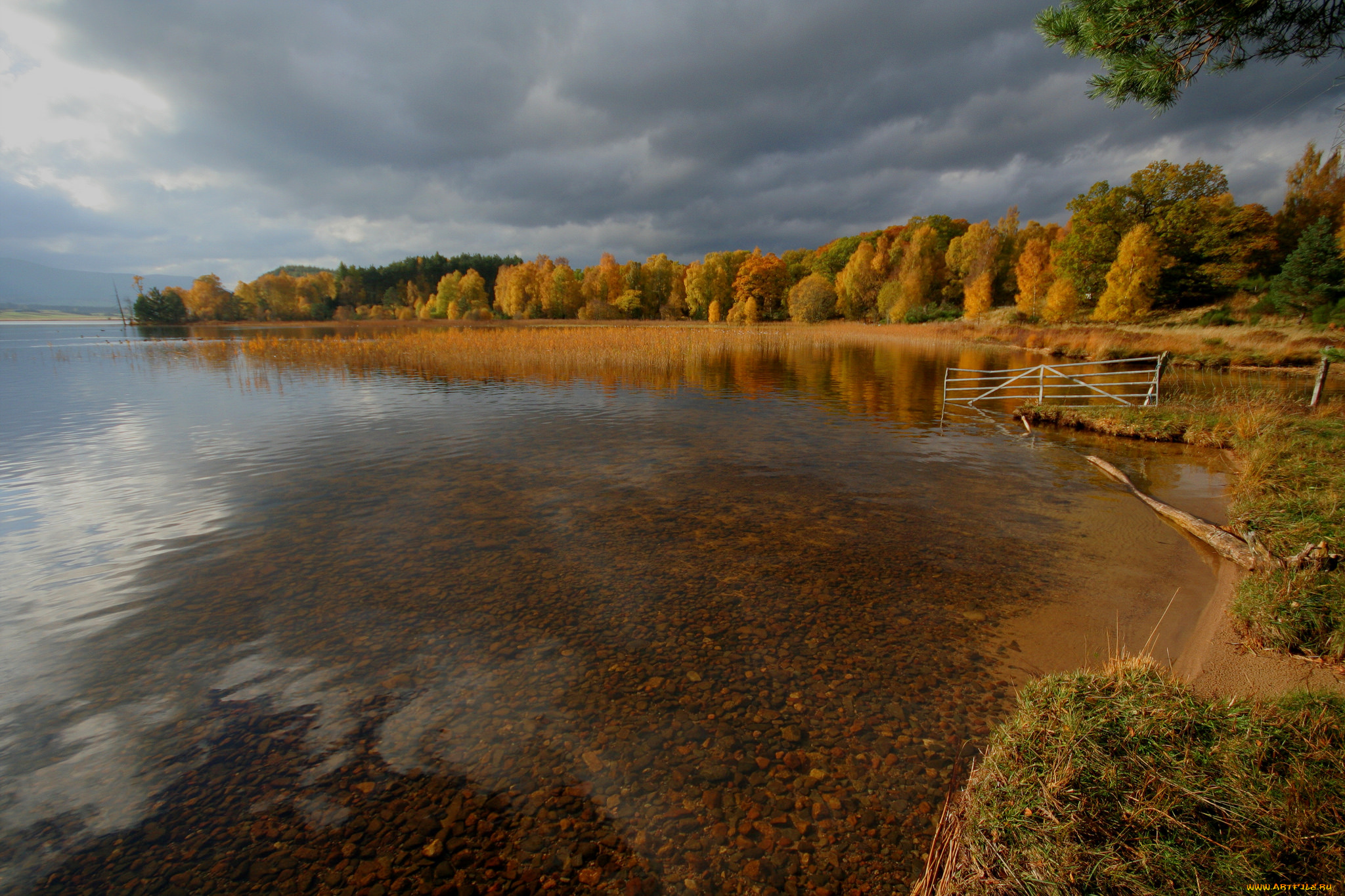 природа, реки, озера, река, лес