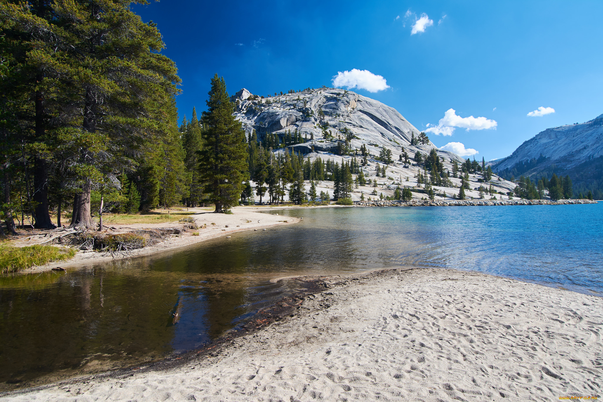 природа, реки, озера, река, лес