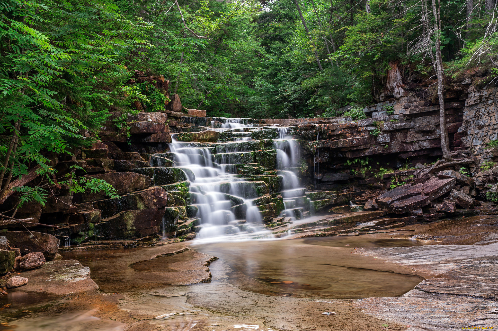 природа, водопады, водопад, река, лес