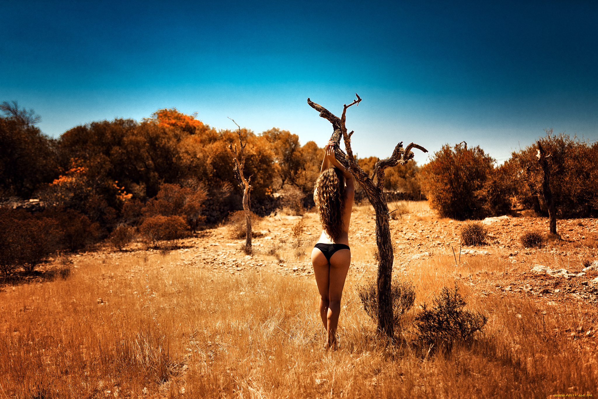 девушки, -unsort, , брюнетки, , шатенки, трава, дерево, попка