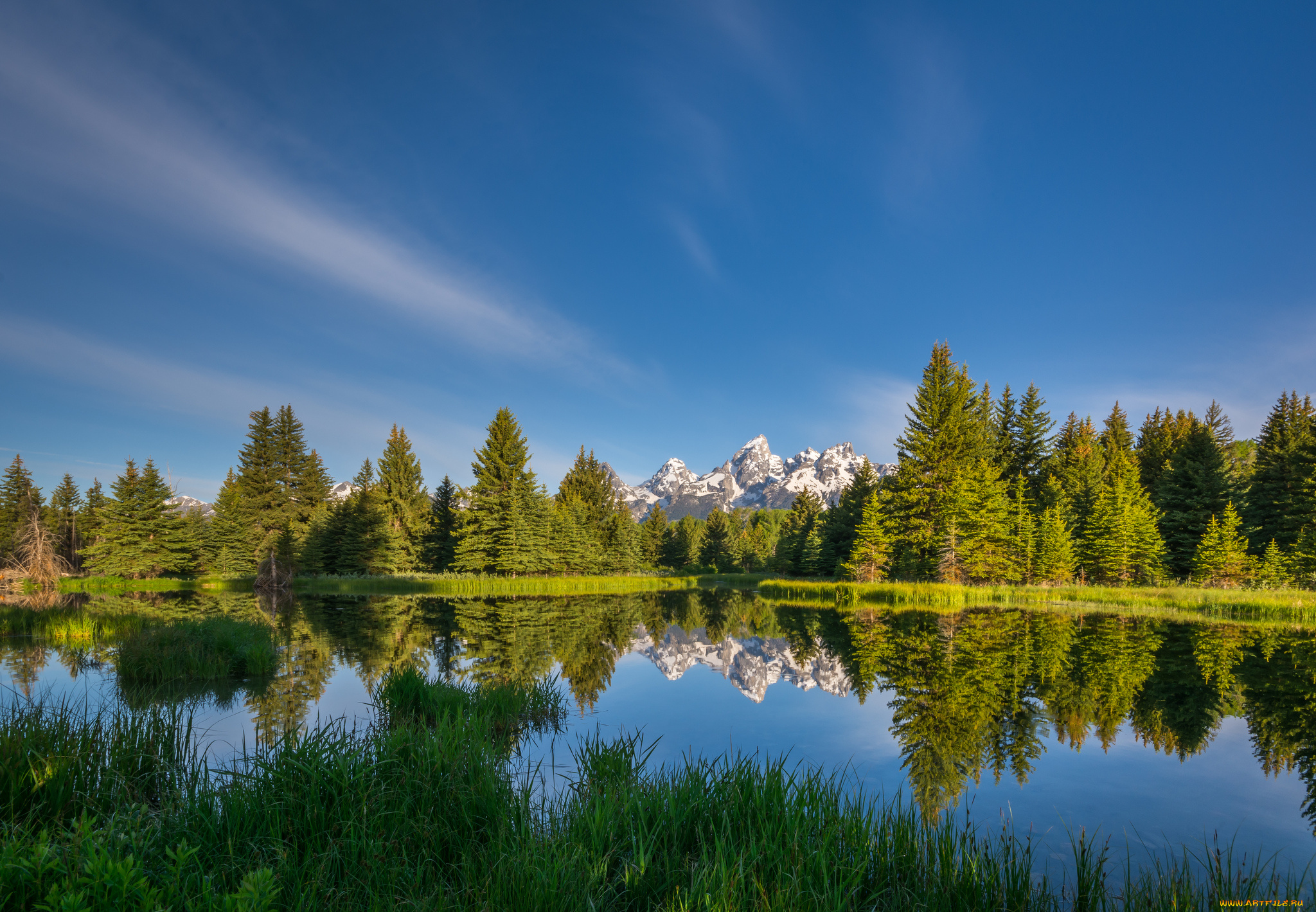 природа, реки, озера, река, лес