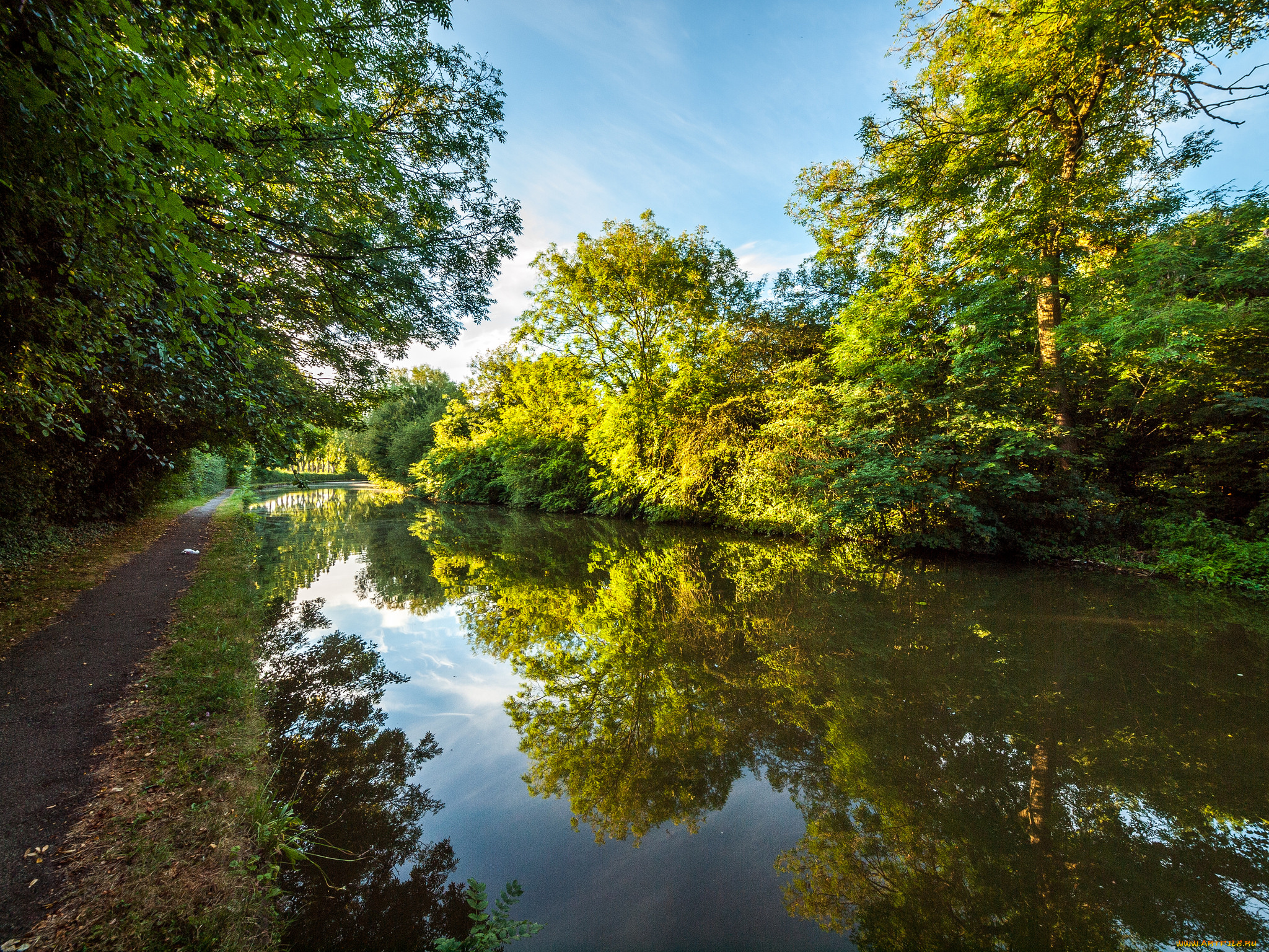 природа, реки, озера, река, лес