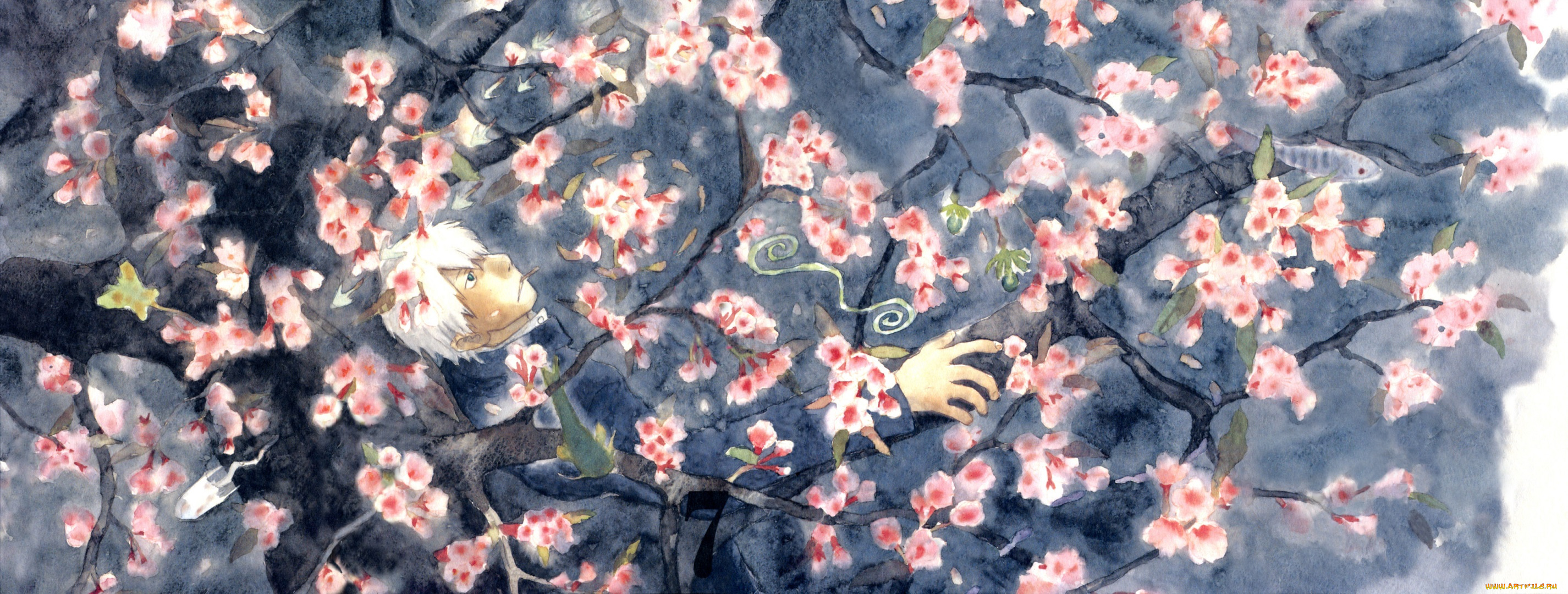 аниме, mushishi, ginko