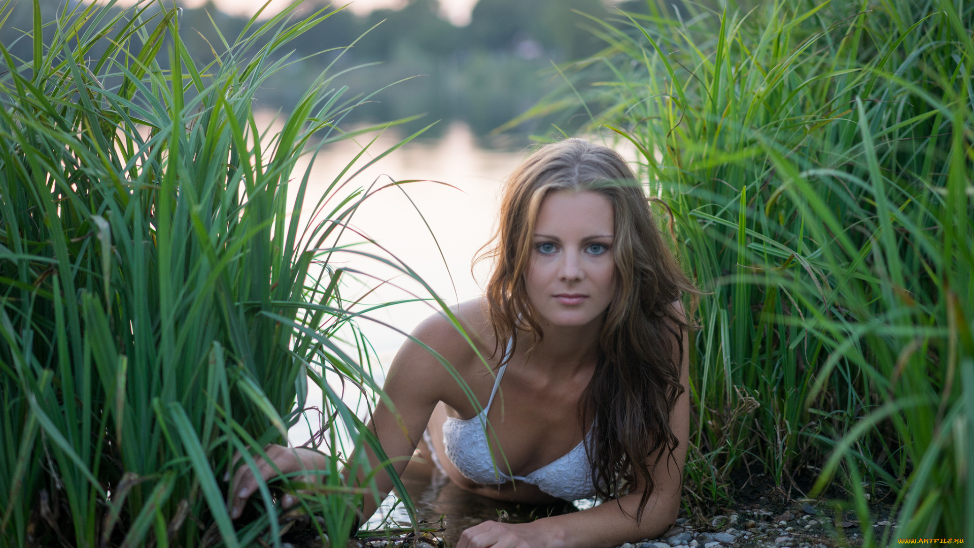 девушки, -unsort, , брюнетки, темноволосые, взгляд, лицо