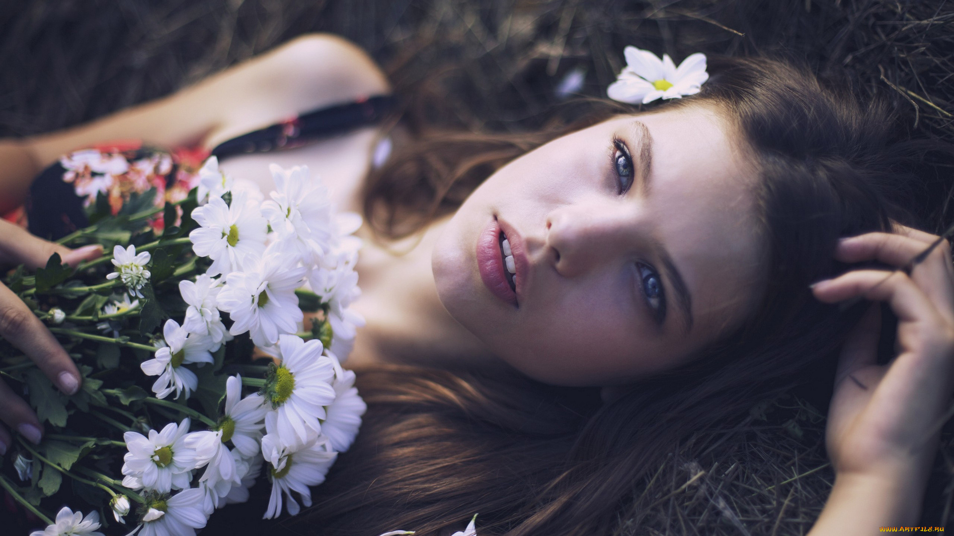 девушки, -unsort, , лица, , портреты, цветы, сено, лицо, ромашки