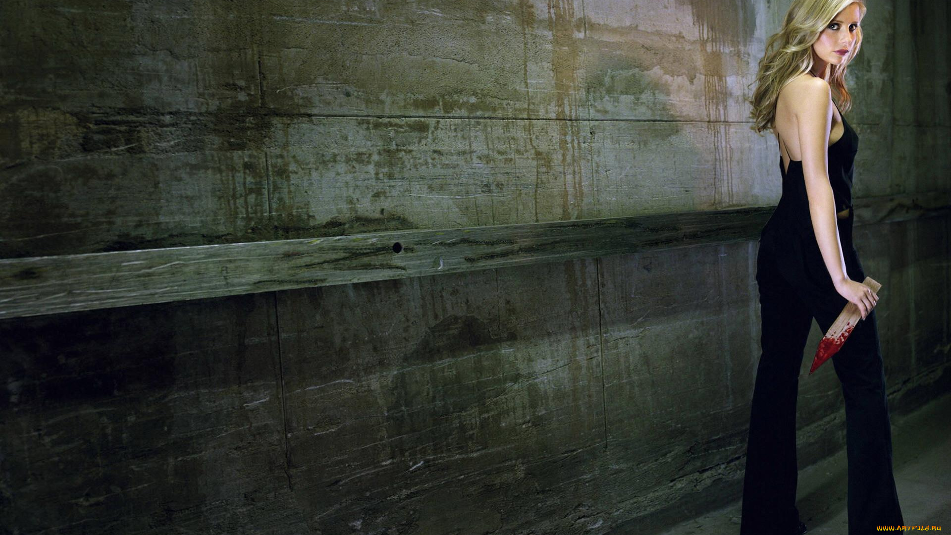 девушки, sarah, michelle, gellar, кровь, кол, брюки, топ, стена, блондинка, актриса, сара, мишель, геллар