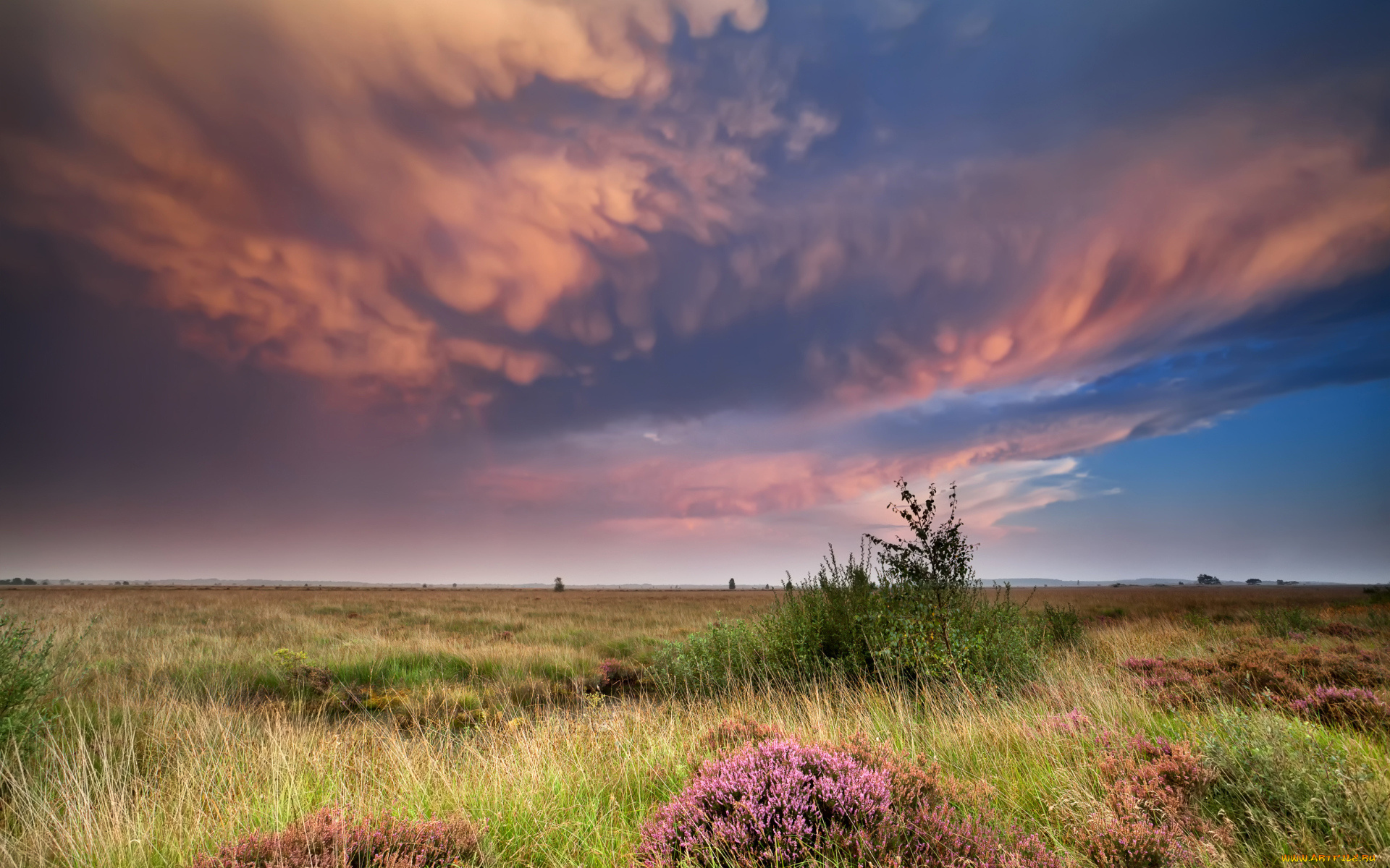 природа, пейзажи, низкие, облака, в, небе, над, полем