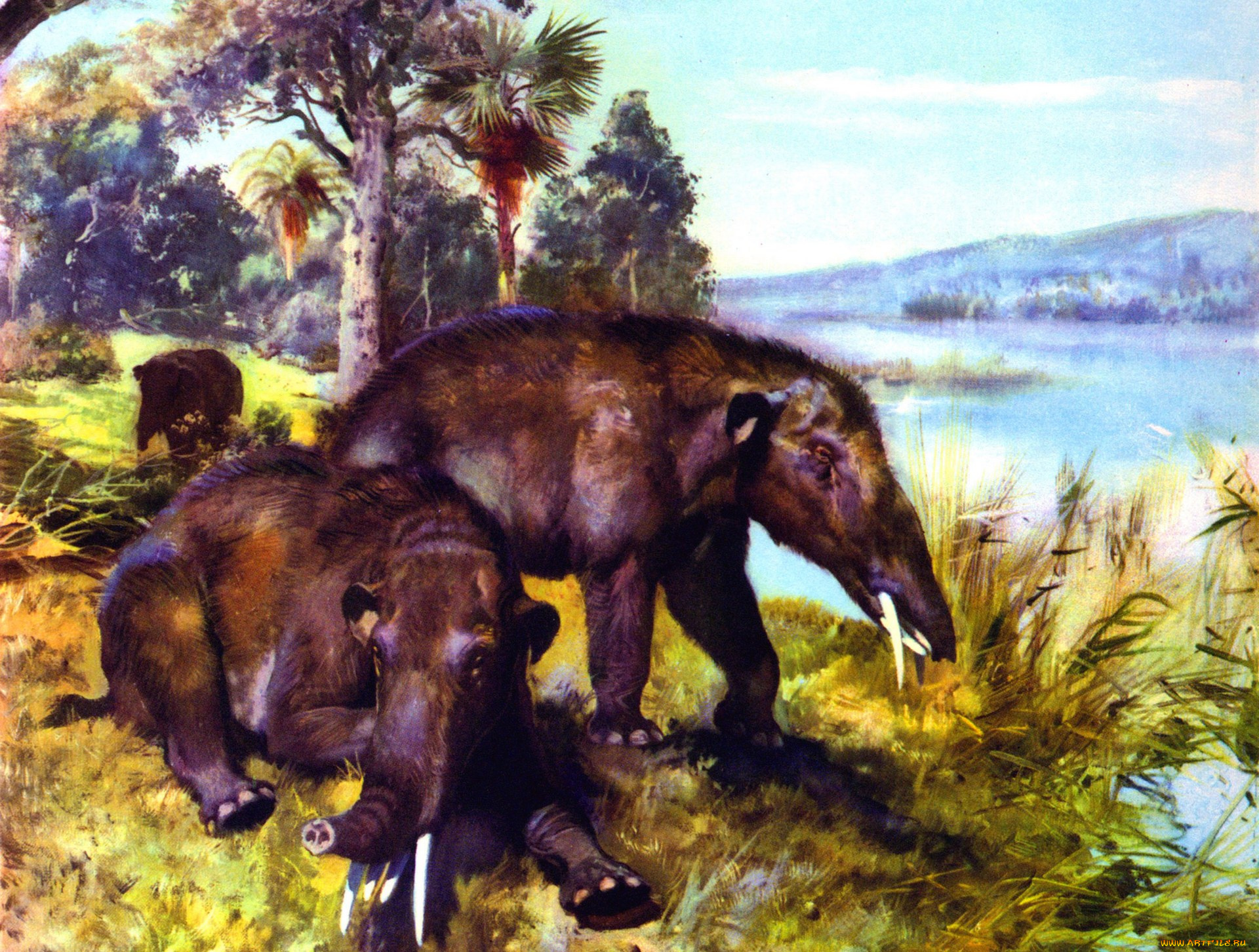 рисованное, животные, растения, водоем