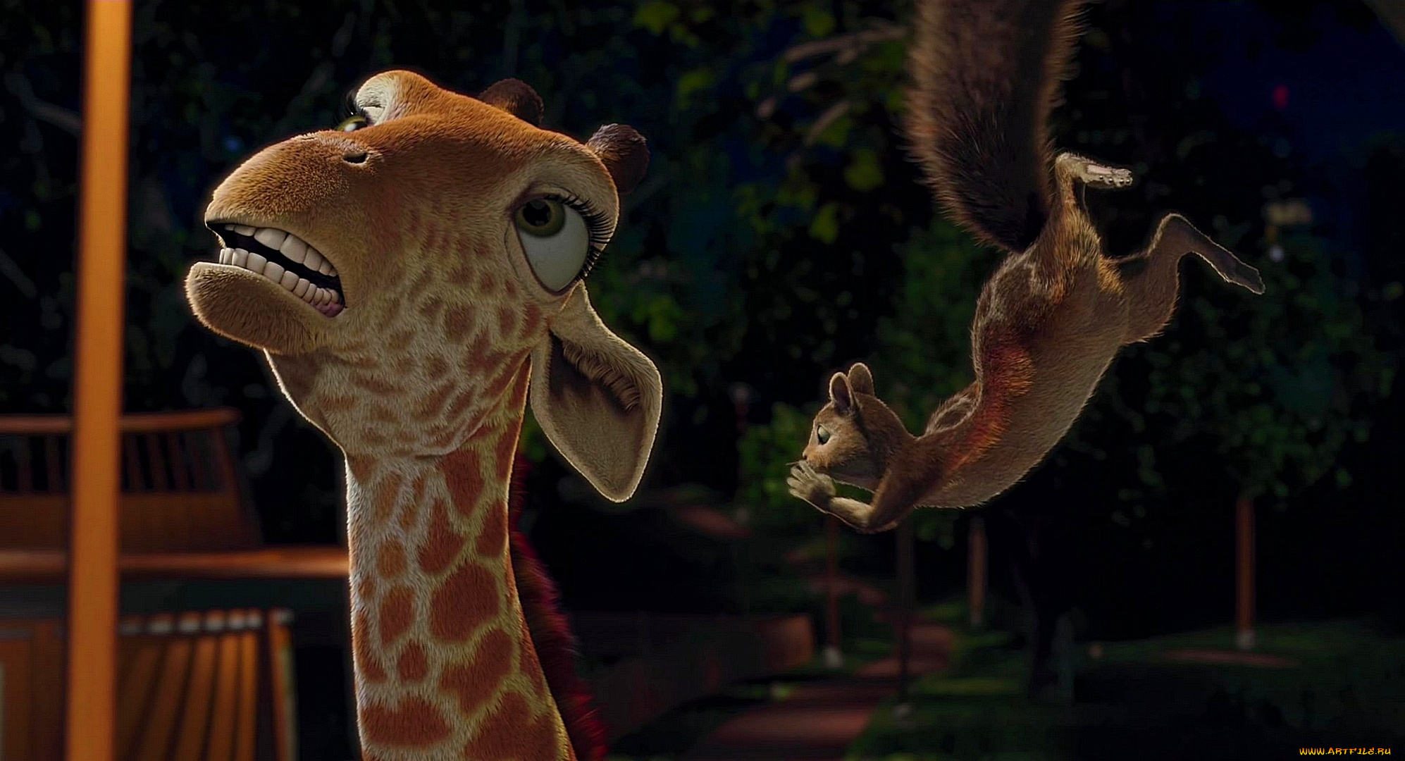 мультфильмы, the, wild, белка, деревья, жираф