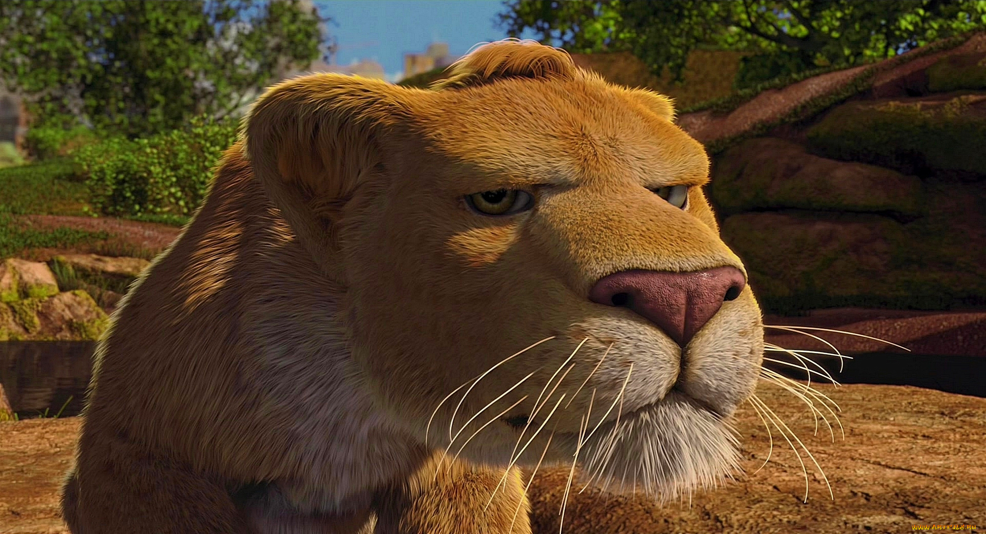 мультфильмы, the, wild, деревья, львенок