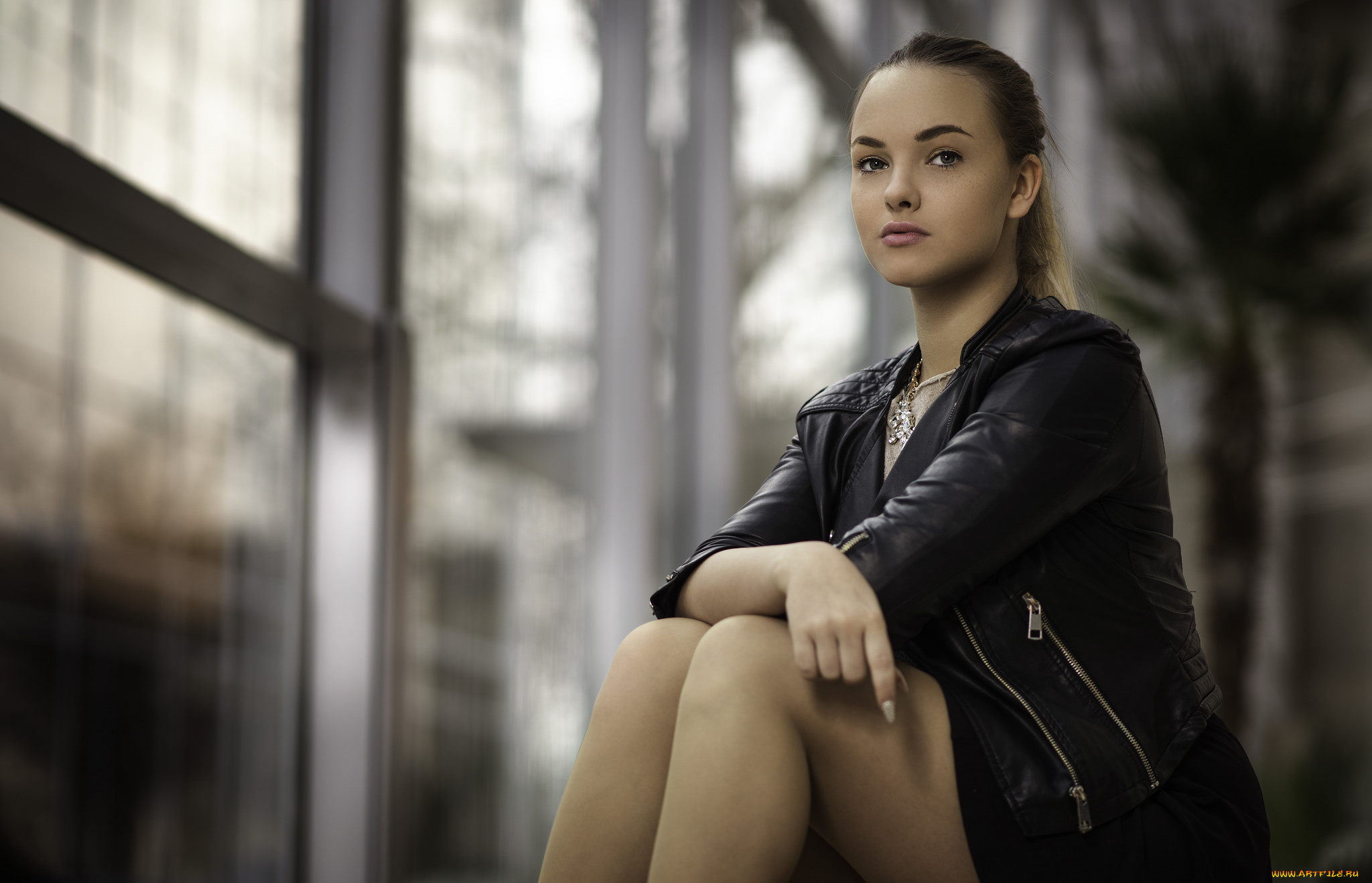 девушки, -unsort, , брюнетки, темноволосые, лицо, взгляд