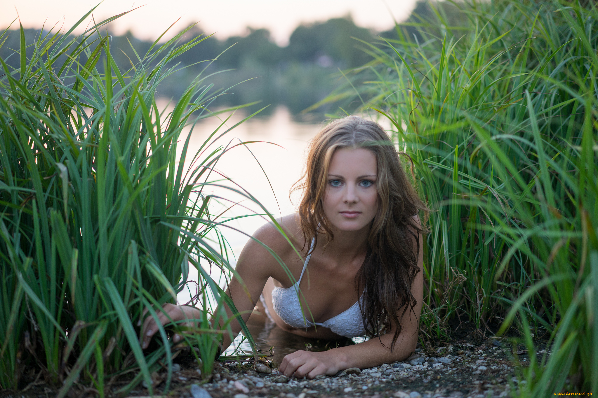 девушки, -unsort, , брюнетки, темноволосые, взгляд, лицо