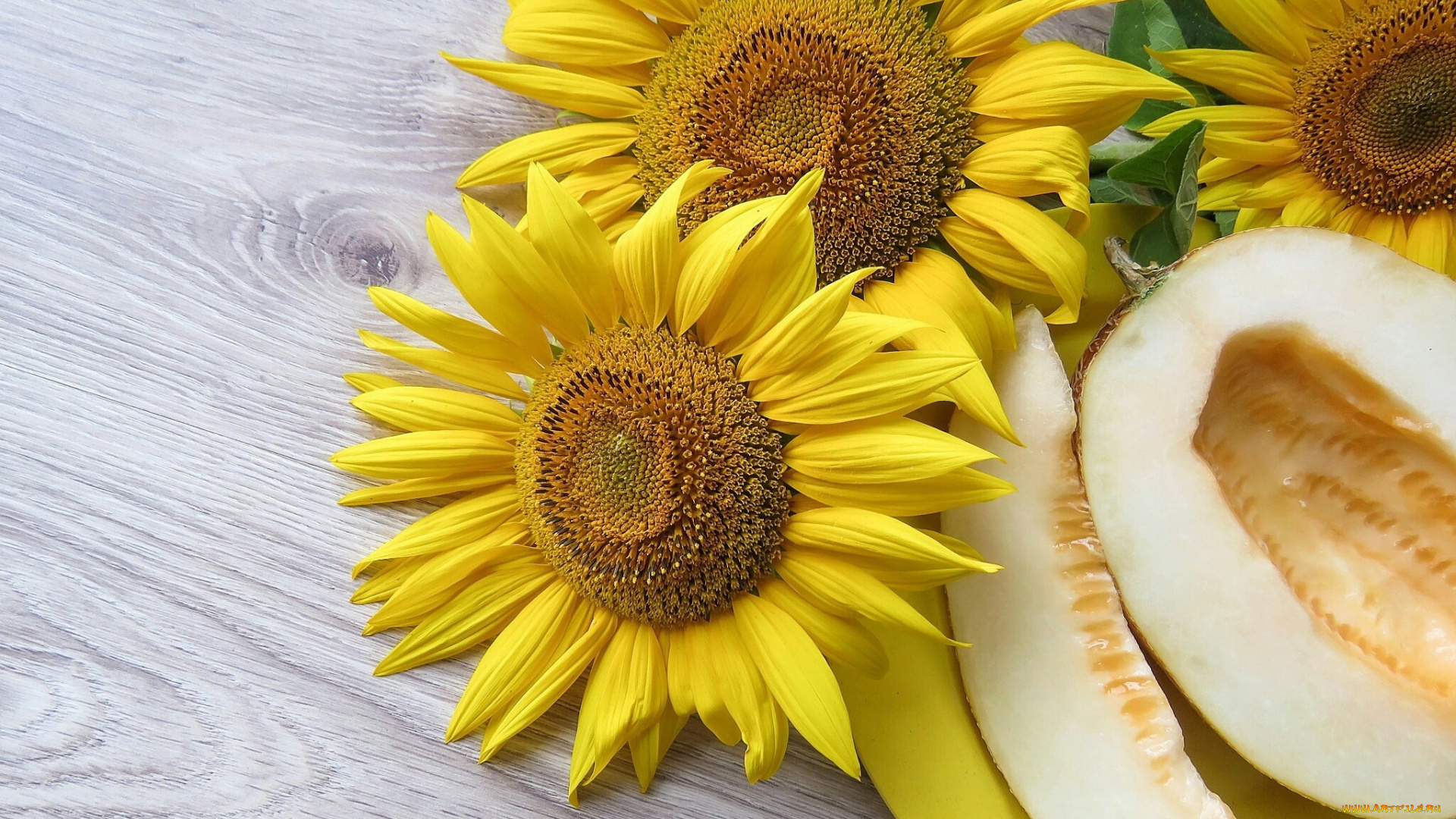 еда, натюрморт, дыня, wood, подсолнух