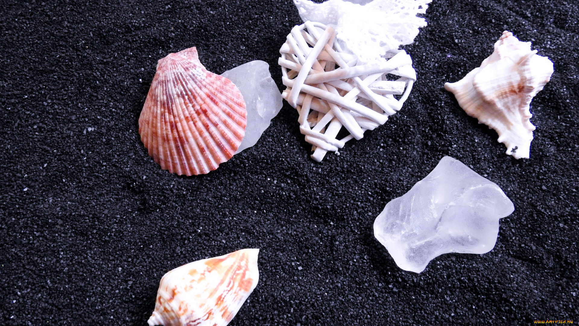 разное, ракушки, , кораллы, , декоративные, и, spa-камни