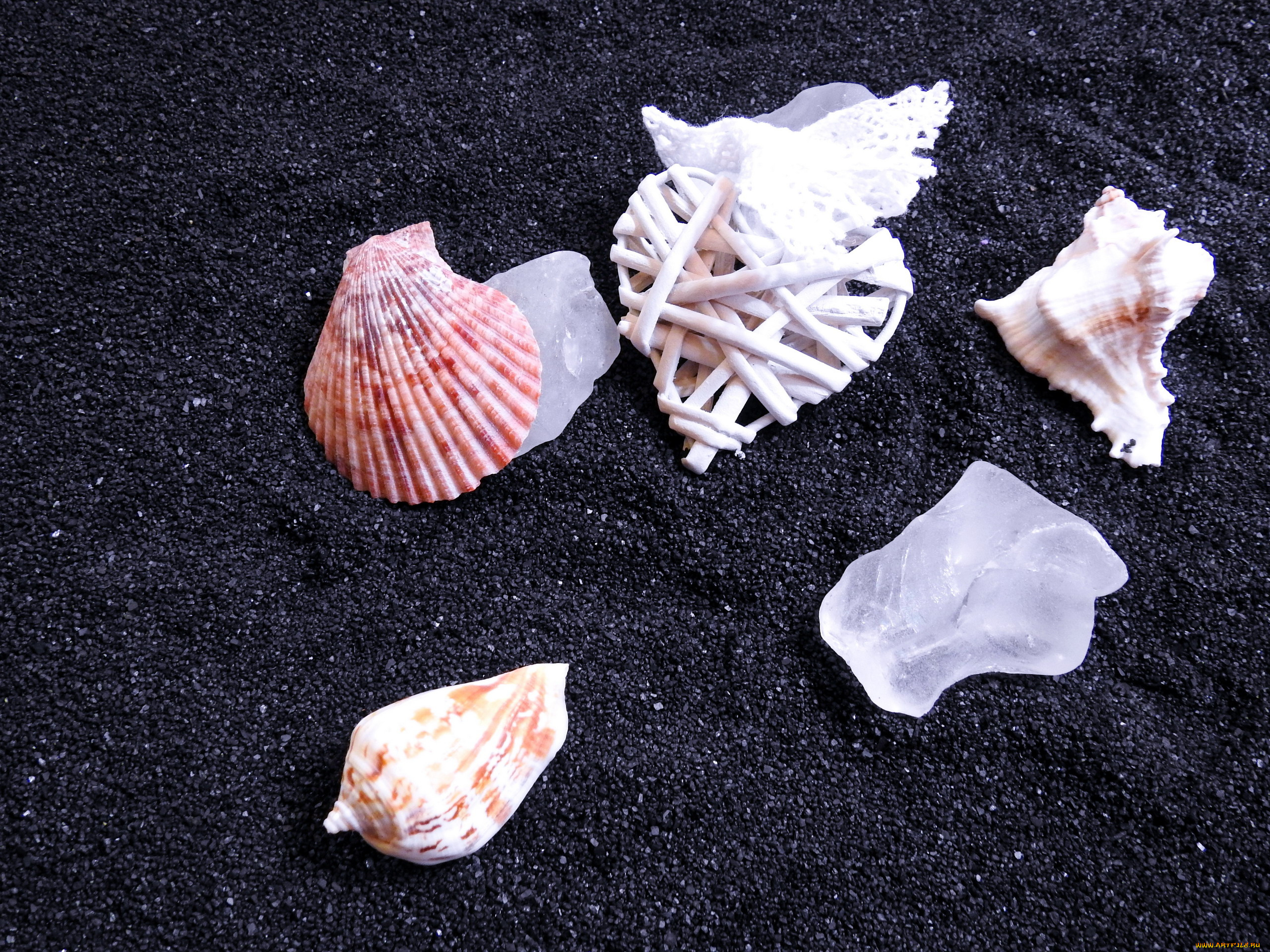 разное, ракушки, , кораллы, , декоративные, и, spa-камни