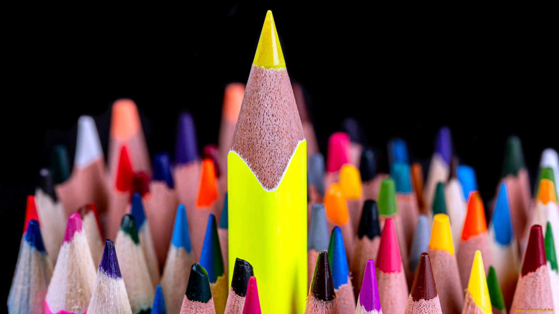 разное, канцелярия, , книги, карандаши, разноцветные