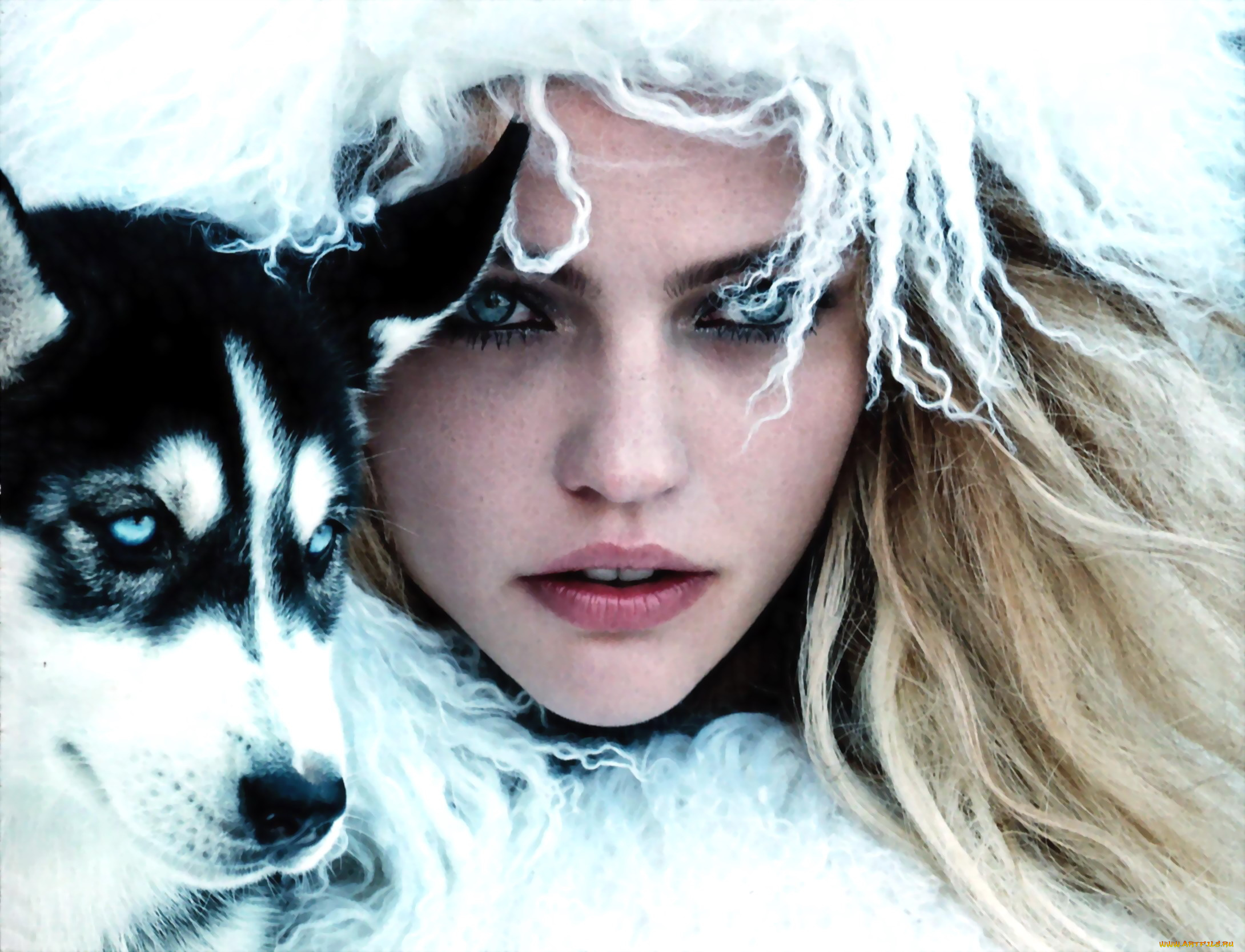 девушки, саша, пивоварова, модель, собака, хаски, шапка, блондинка