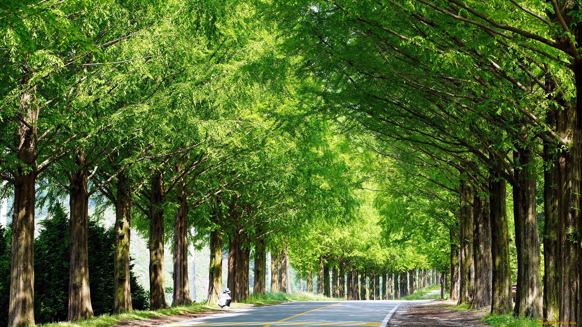 природа, дороги, шоссе