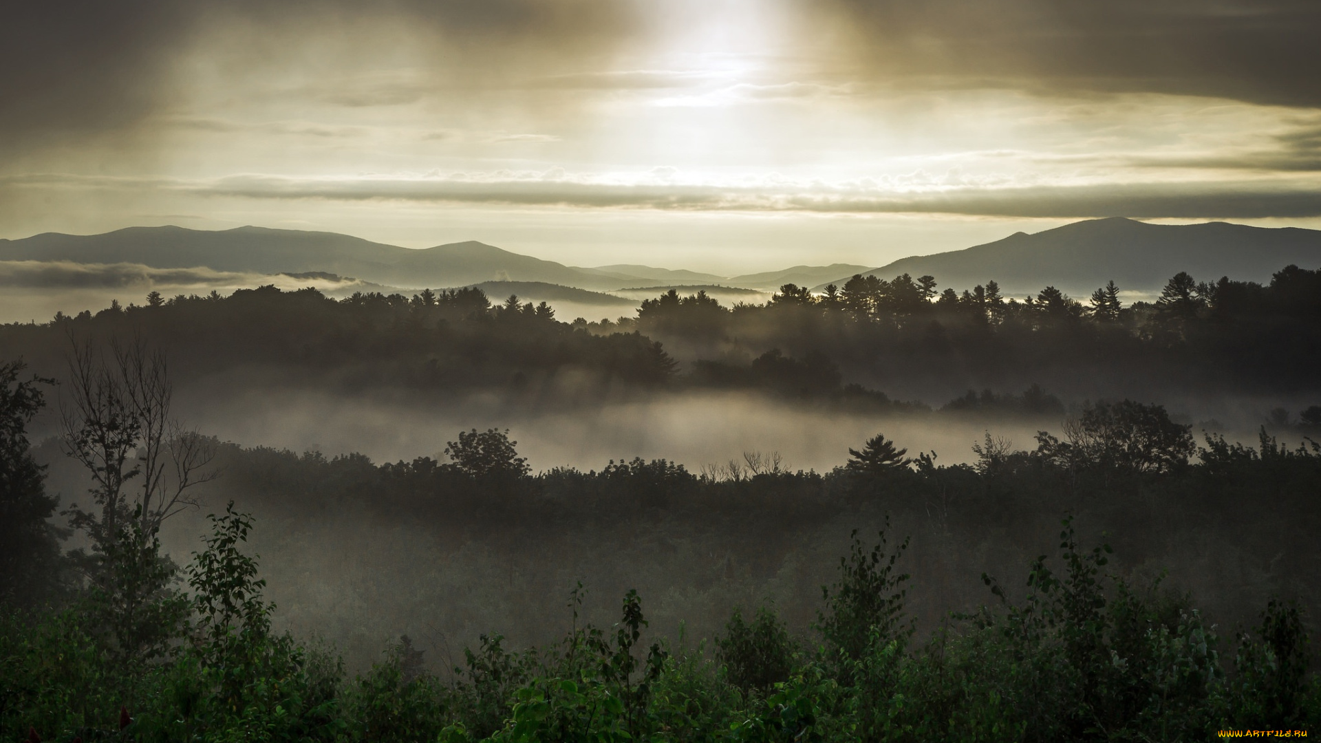природа, пейзажи, пейзаж