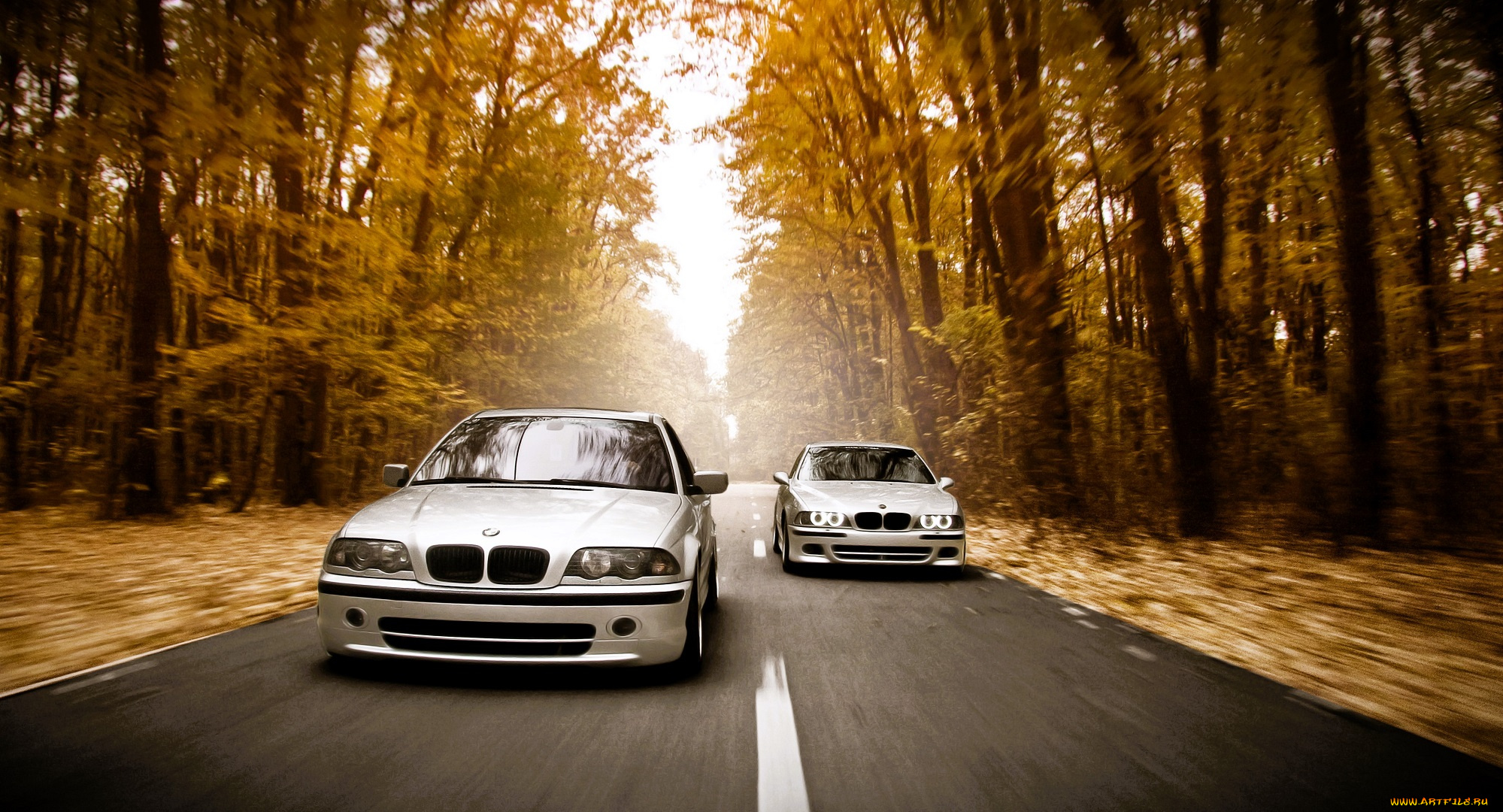автомобили, bmw, белые, дорога, скорость, лес, осень