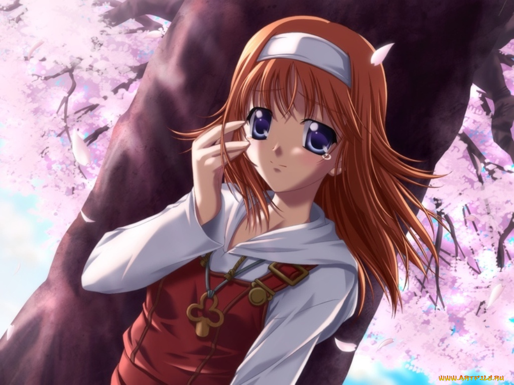 da, capo, аниме