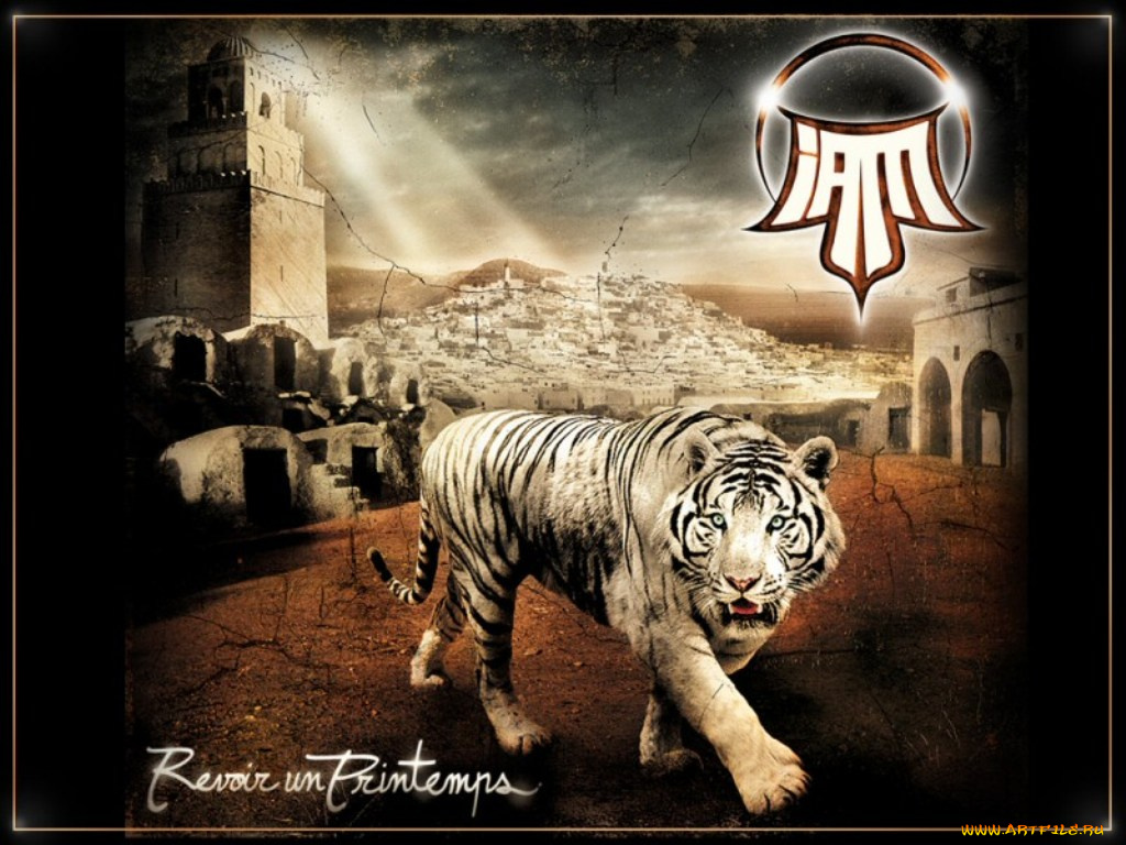 музыка, другое