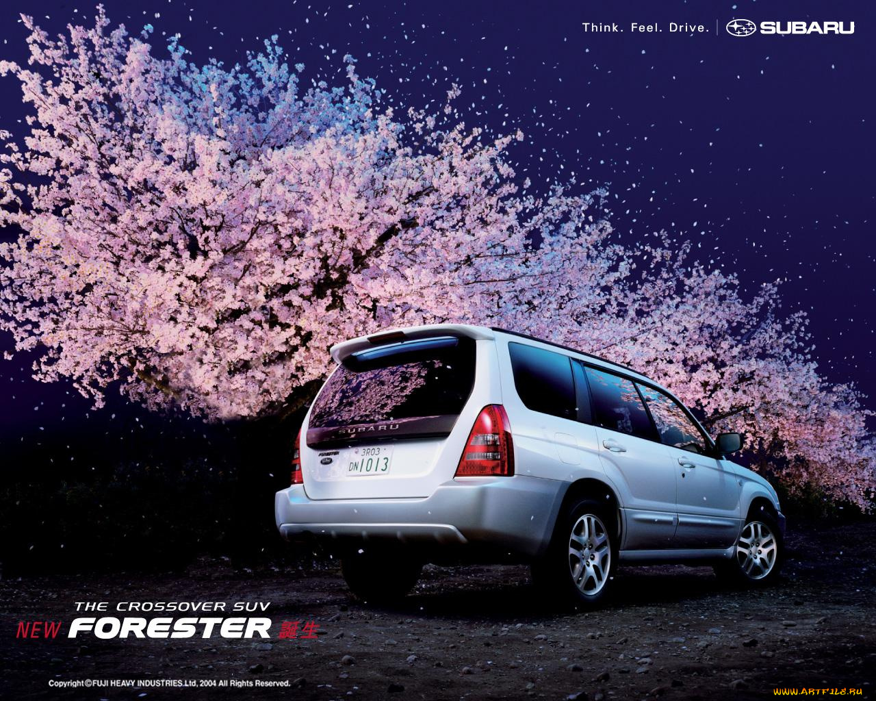 автомобили, subaru