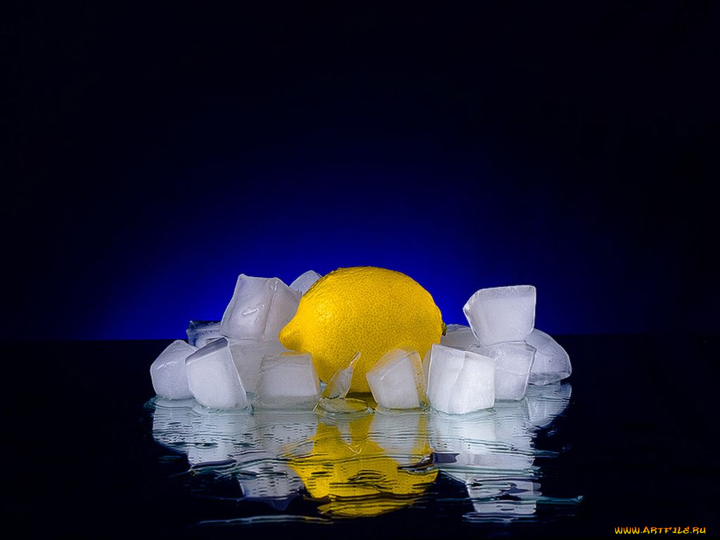 еда, цитрусы