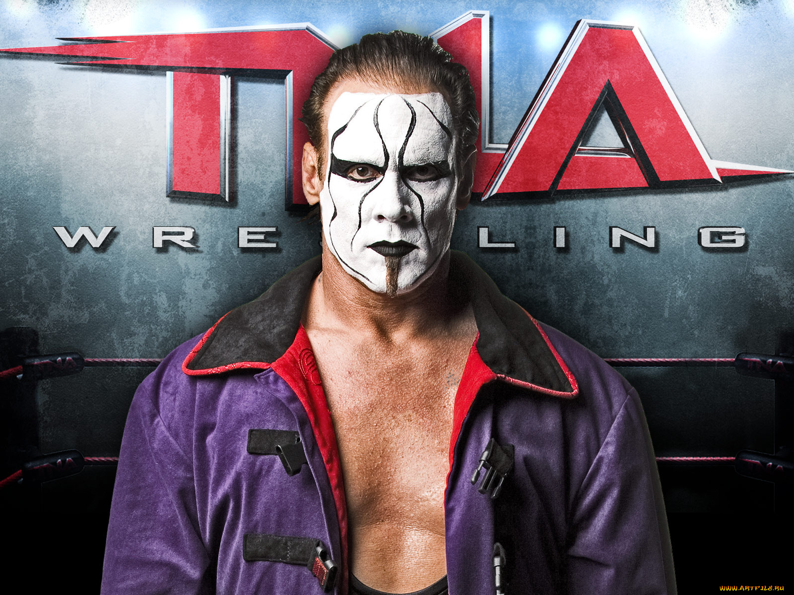sting, спорт, wwe