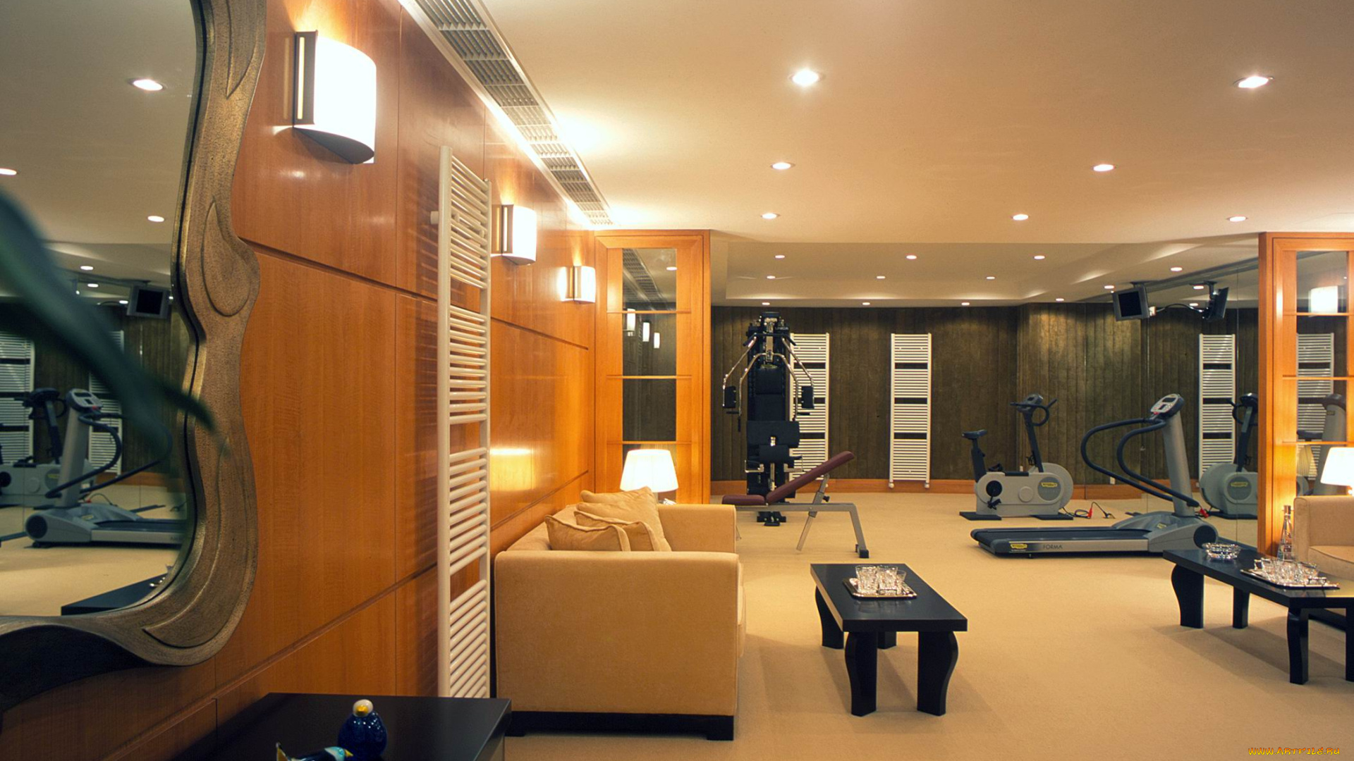 интерьер, кабинет, библиотека, офис, тренажеры