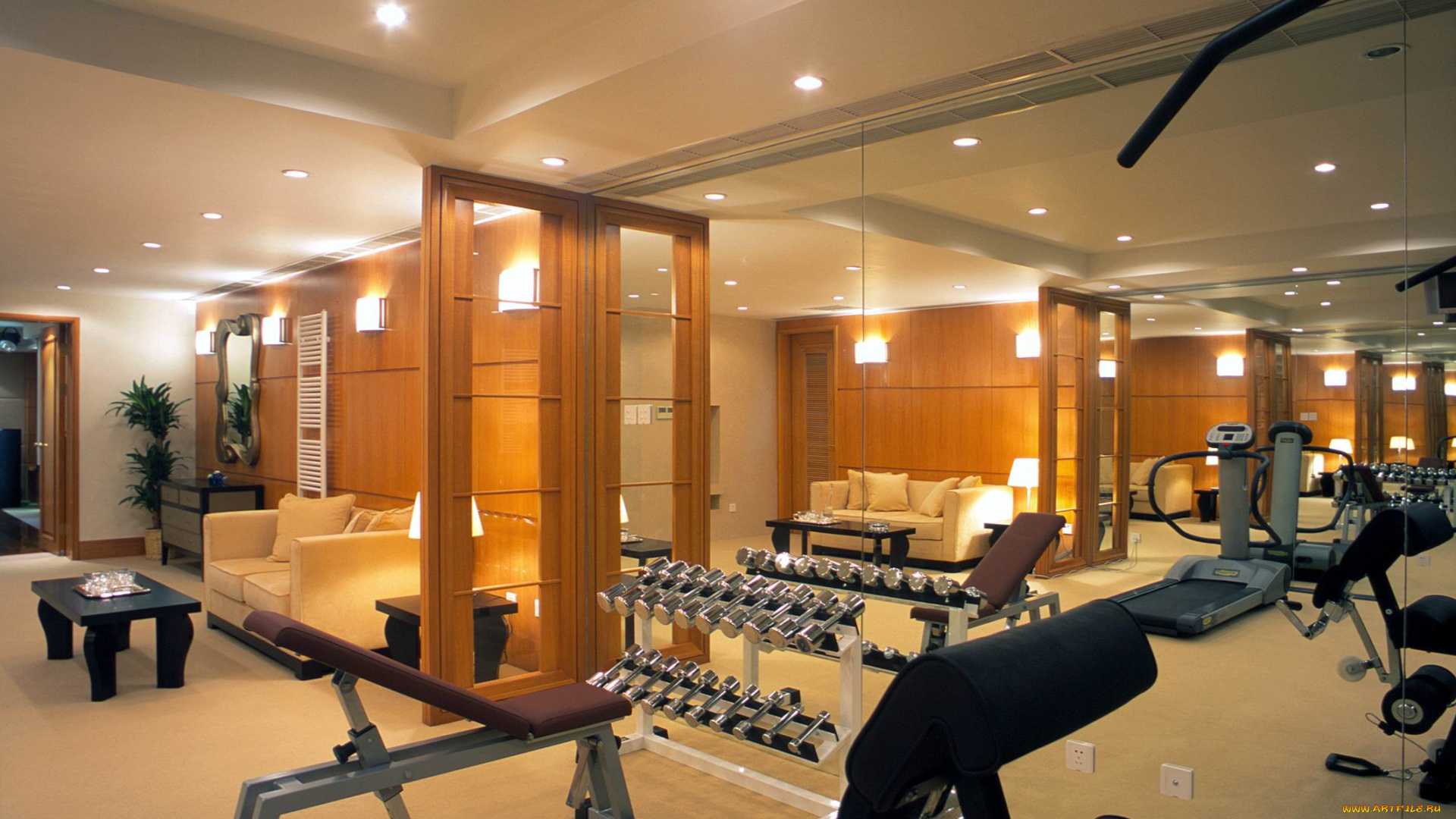 интерьер, кабинет, библиотека, офис, тренажеры