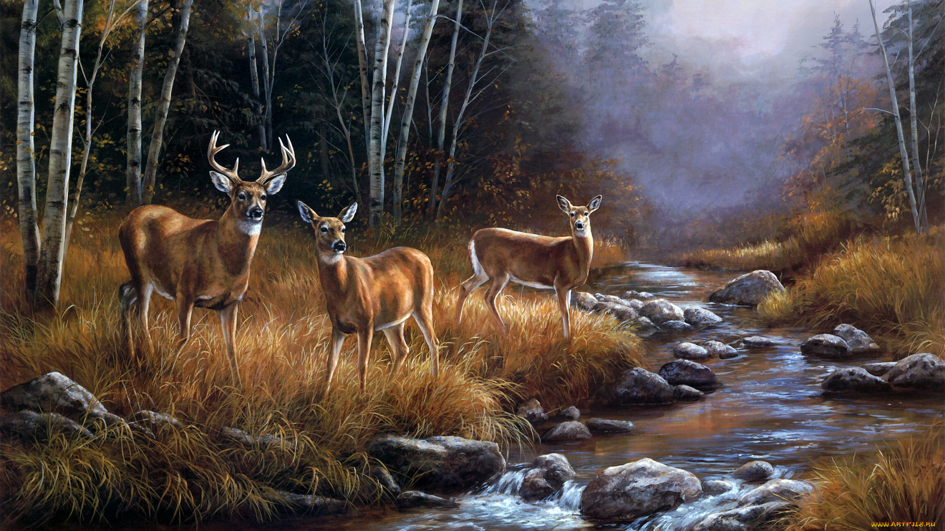 october, mist, рисованные, rosemary, millette, туман, ручей, река, лес, олени