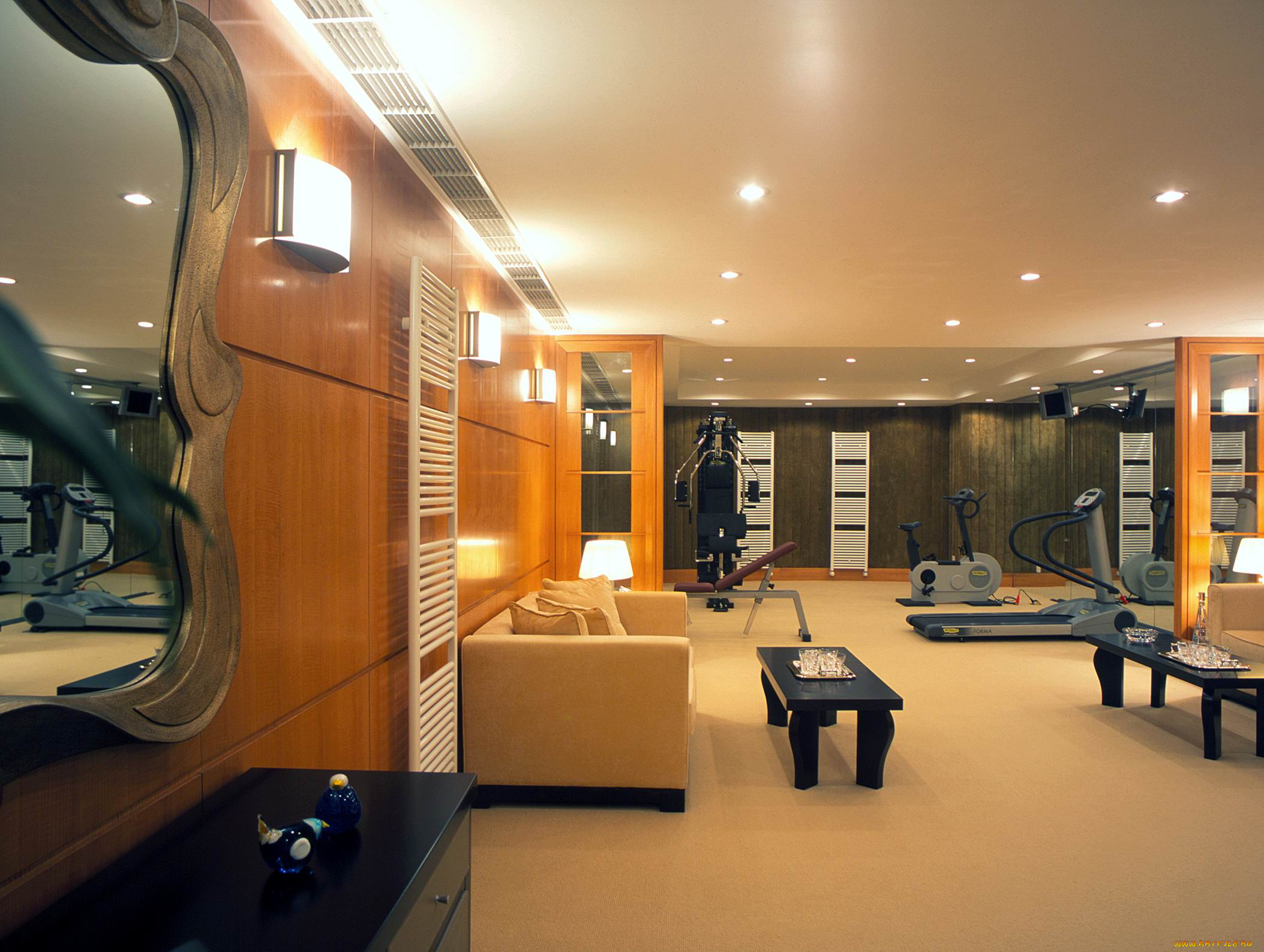 интерьер, кабинет, библиотека, офис, тренажеры