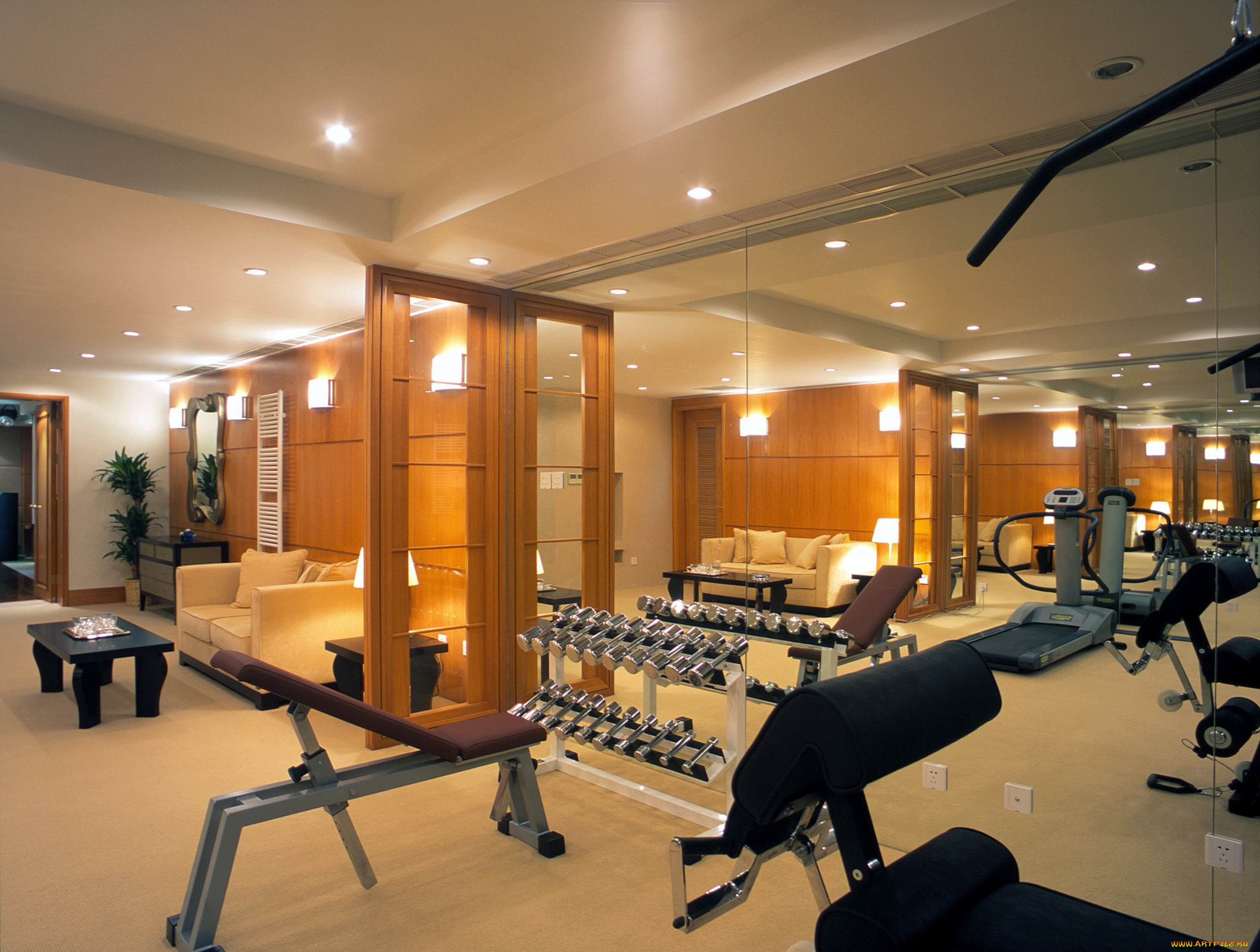 интерьер, кабинет, библиотека, офис, тренажеры