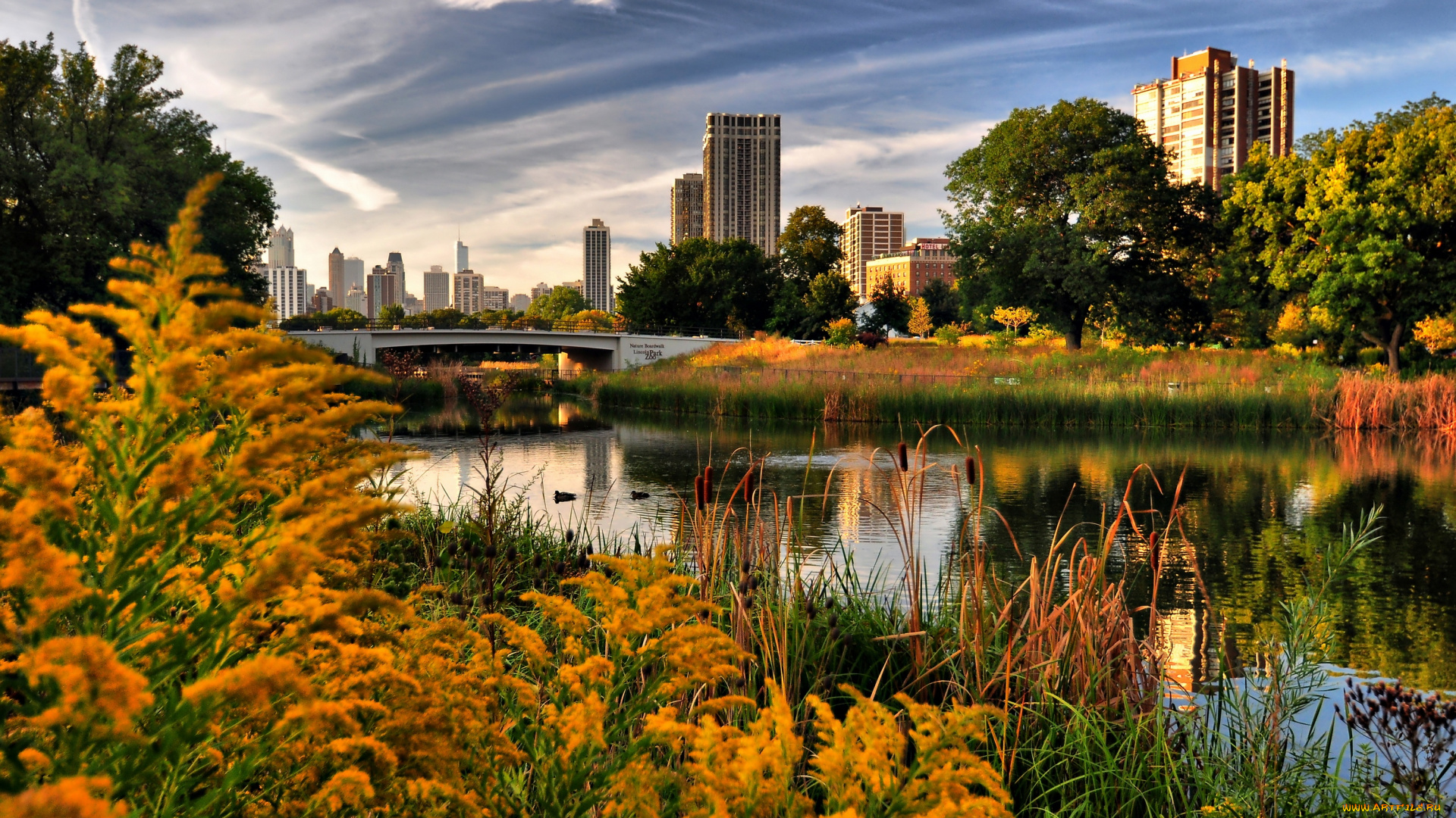 города, Чикаго, сша, осень