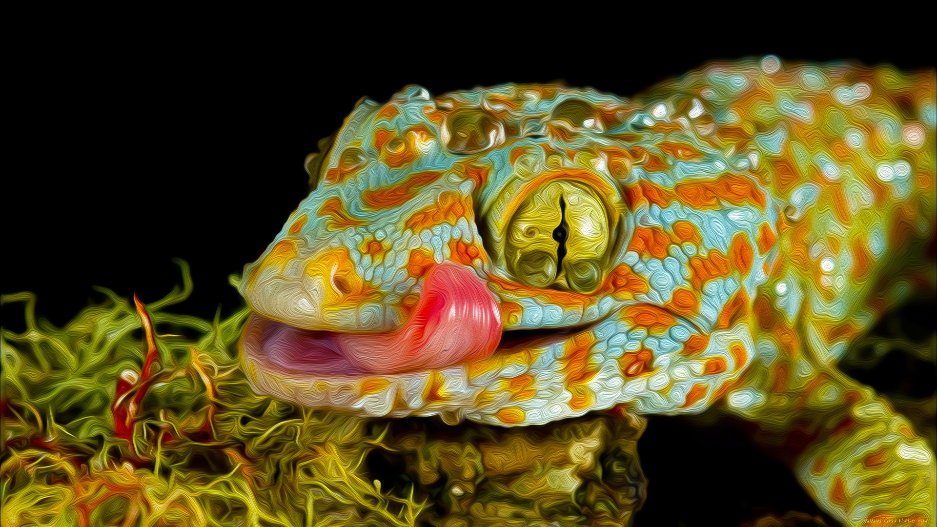 разное, компьютерный, дизайн, геккон, язык