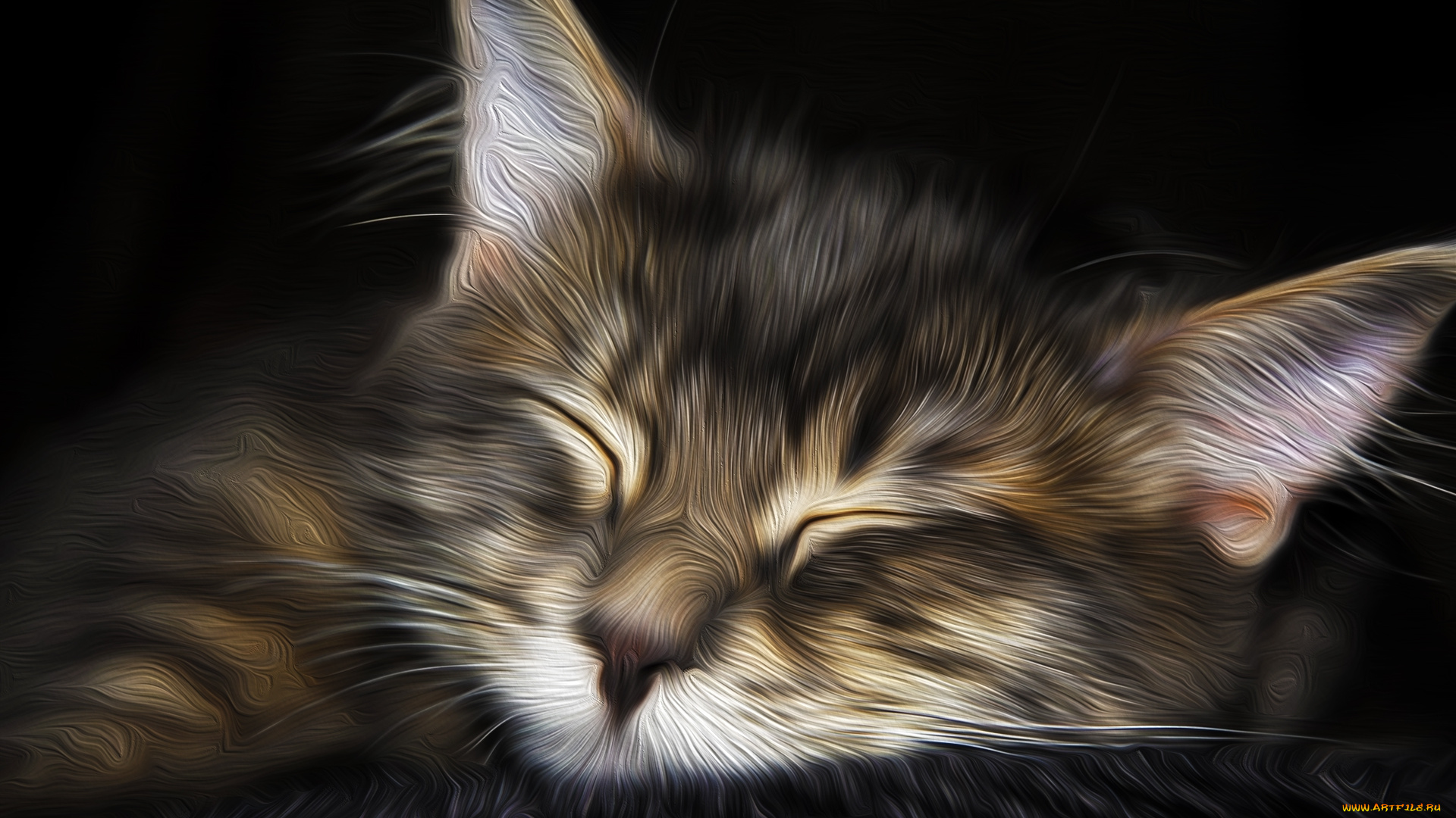 разное, компьютерный, дизайн, кошка, сон