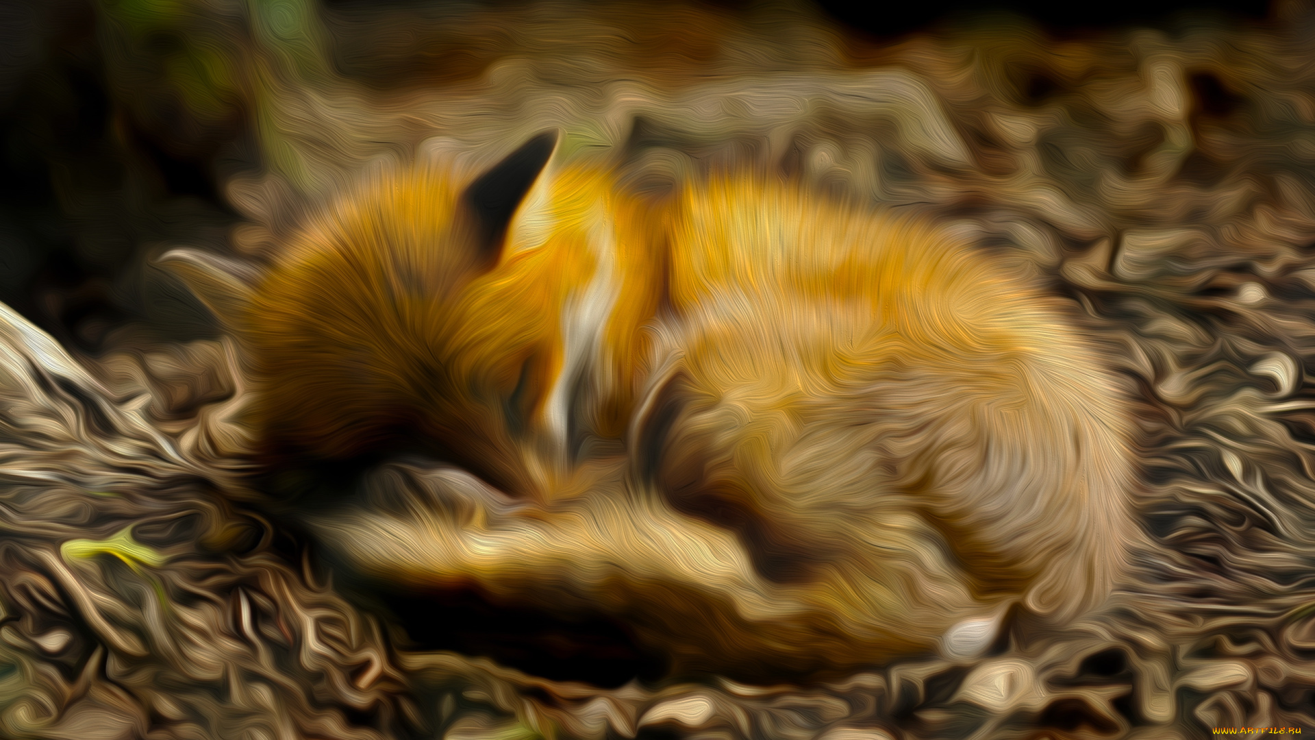 разное, компьютерный, дизайн, лисичка, сон