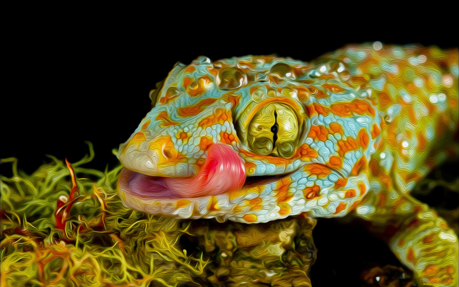 разное, компьютерный, дизайн, геккон, язык